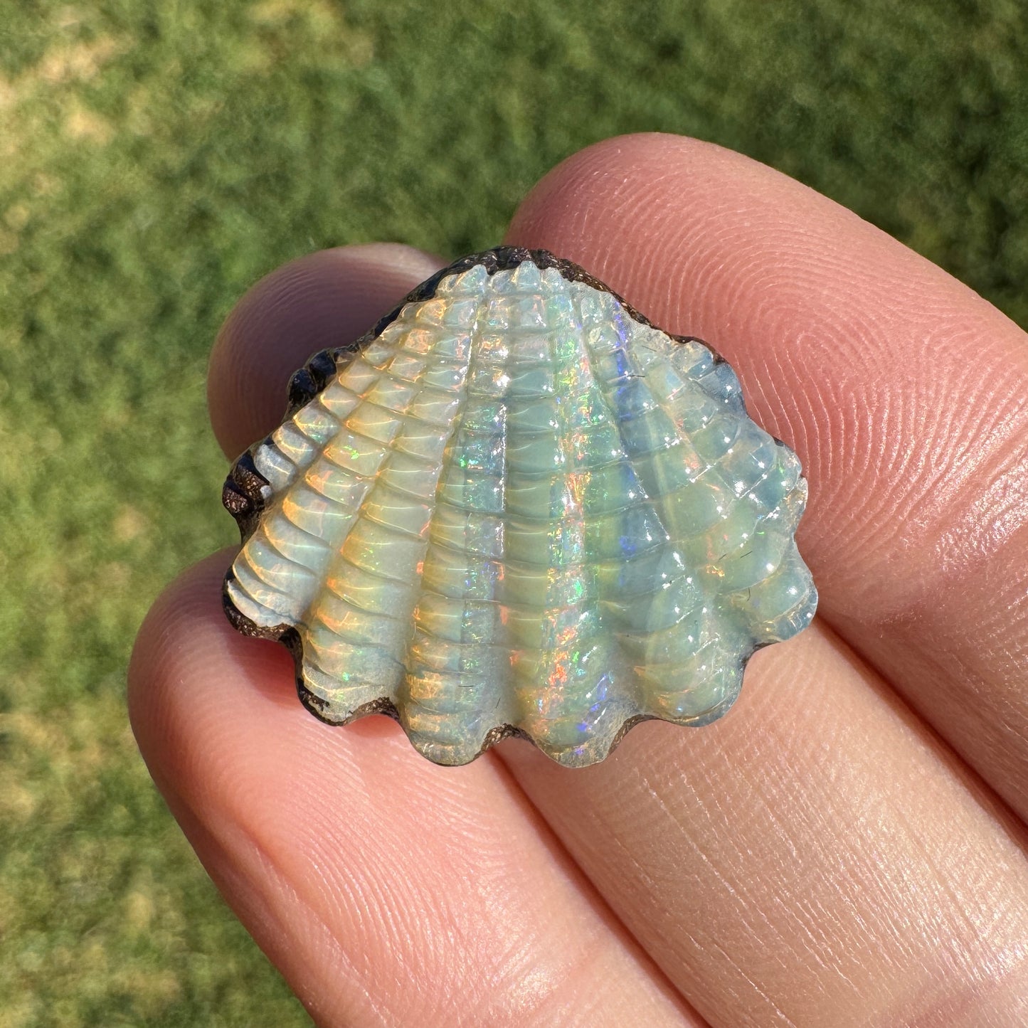 15.18 Ct fan shell boulder opal carving