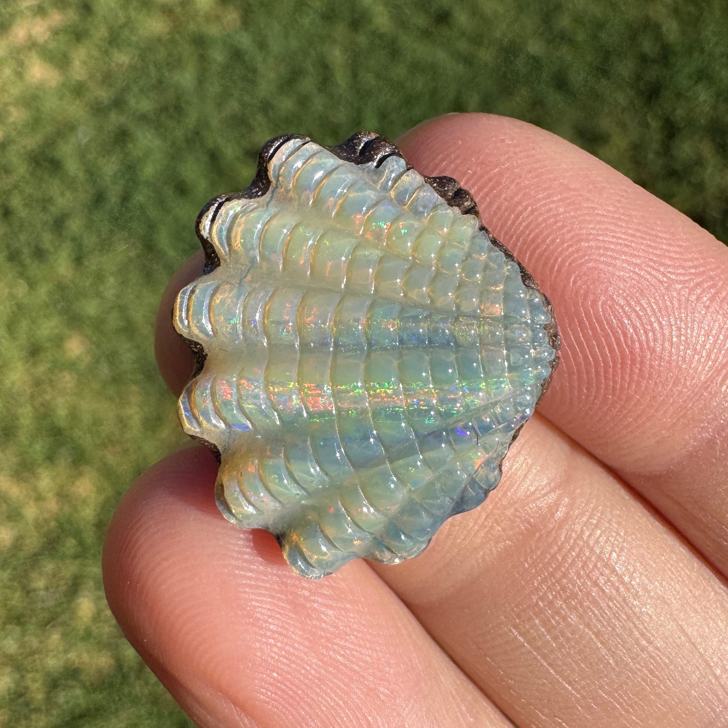15.18 Ct fan shell boulder opal carving