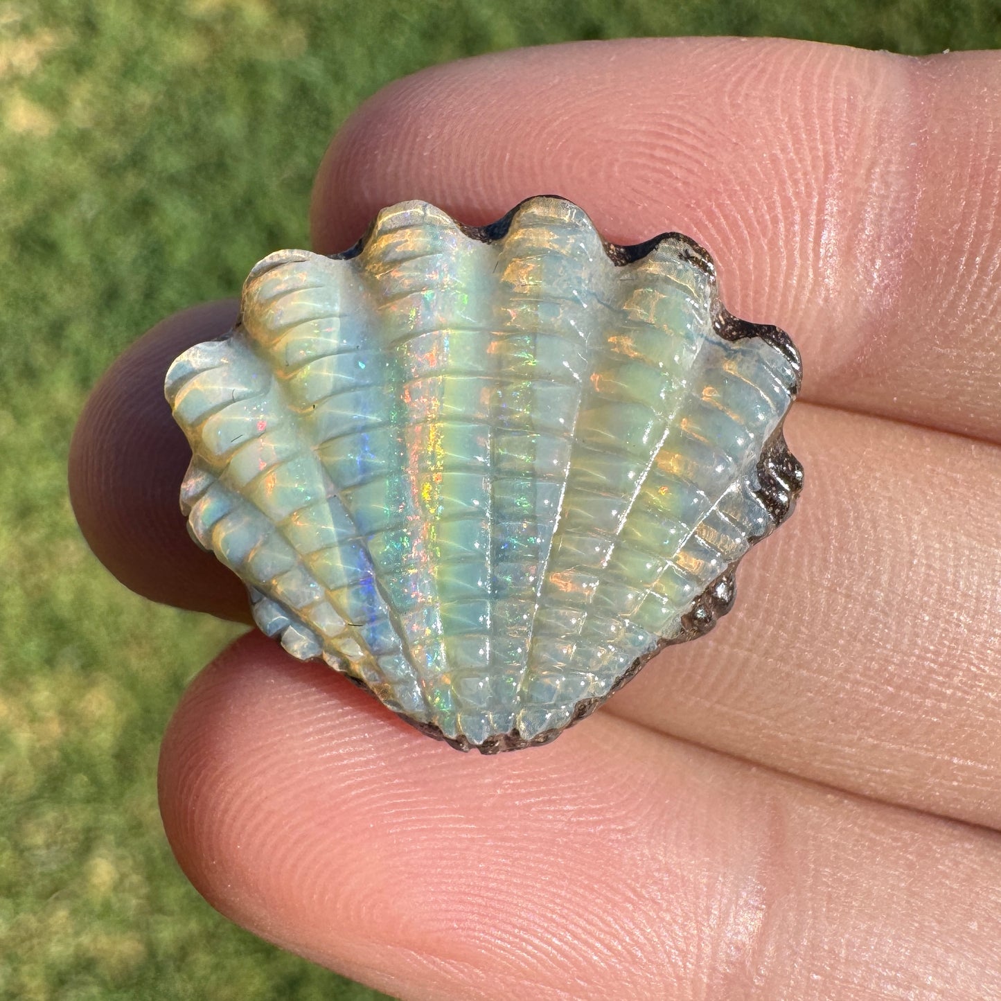 15.18 Ct fan shell boulder opal carving