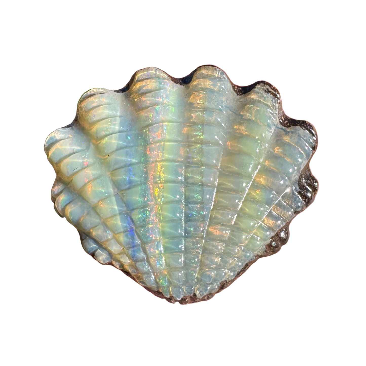 15.18 Ct fan shell boulder opal carving