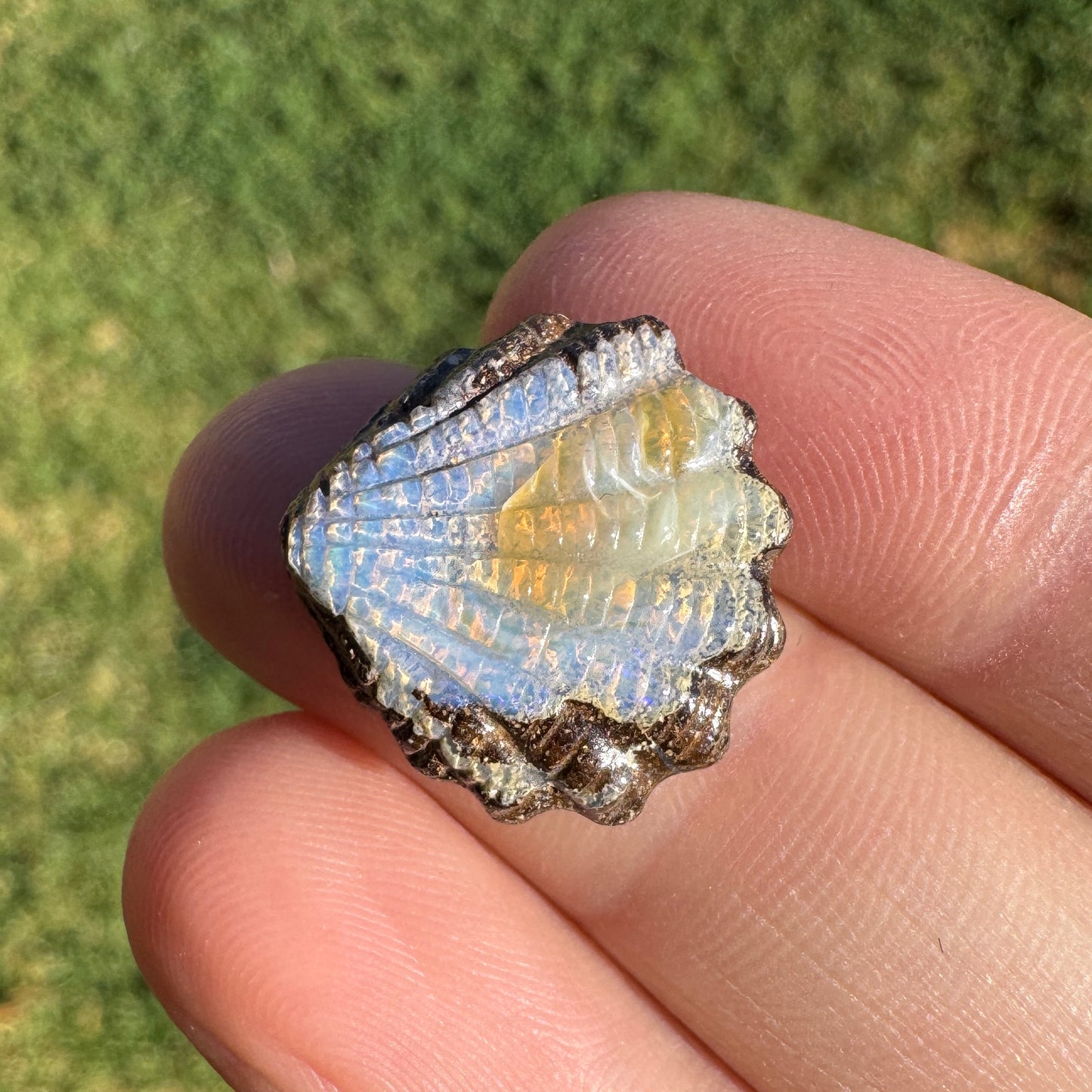 9.12 Ct fan shell boulder opal carving
