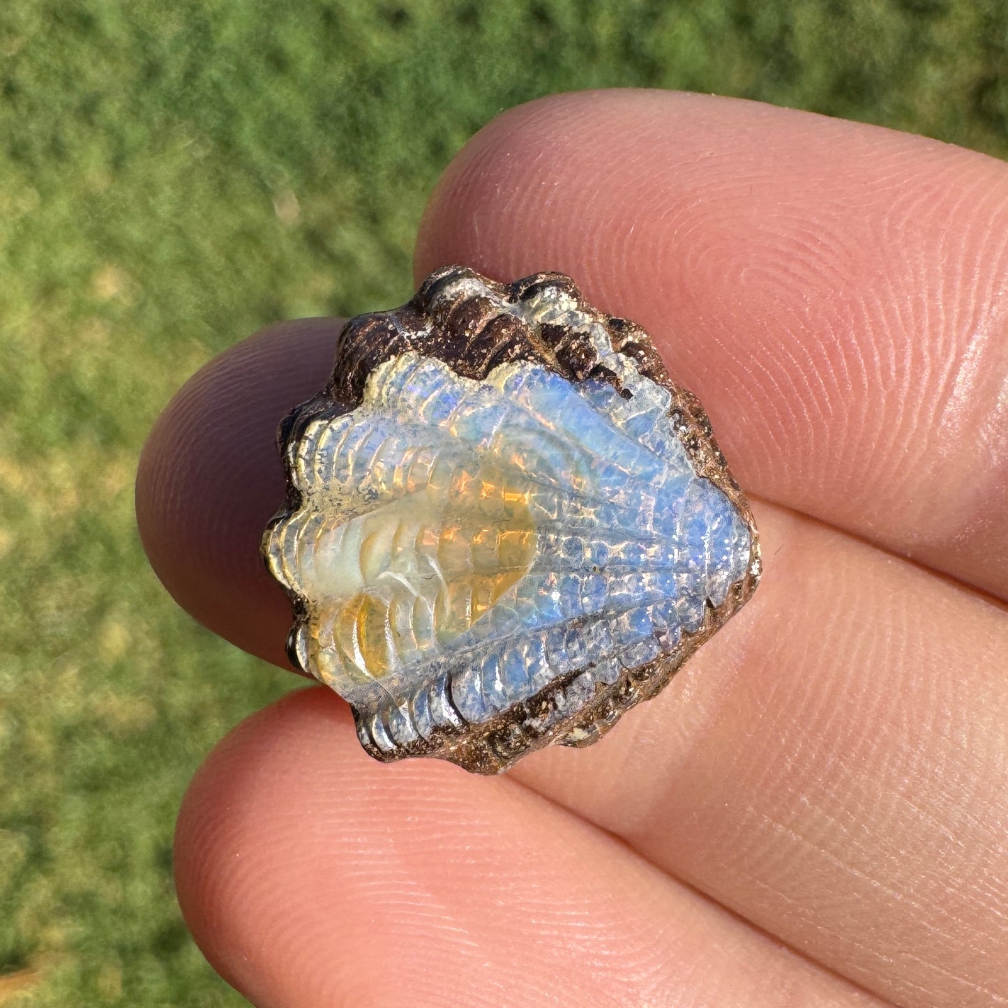 9.12 Ct fan shell boulder opal carving