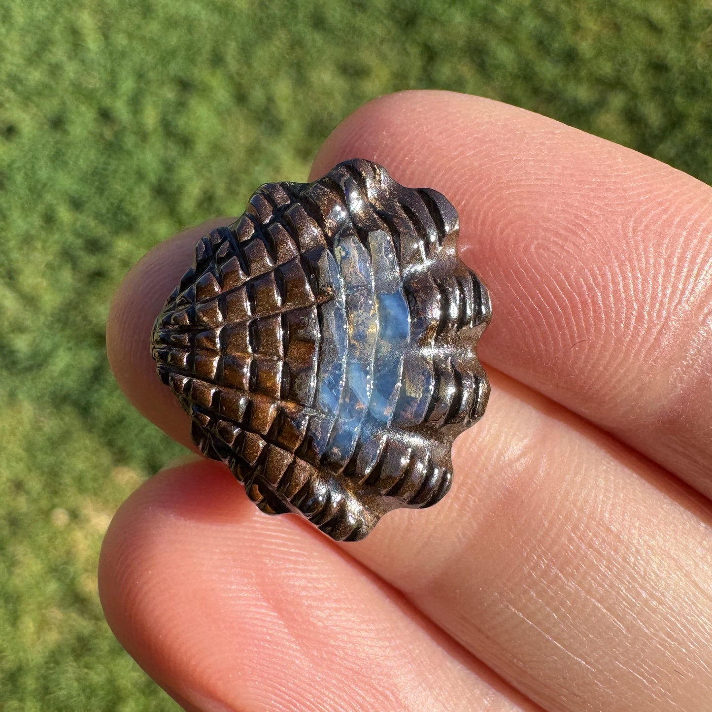 14.01 Ct fan shell boulder opal