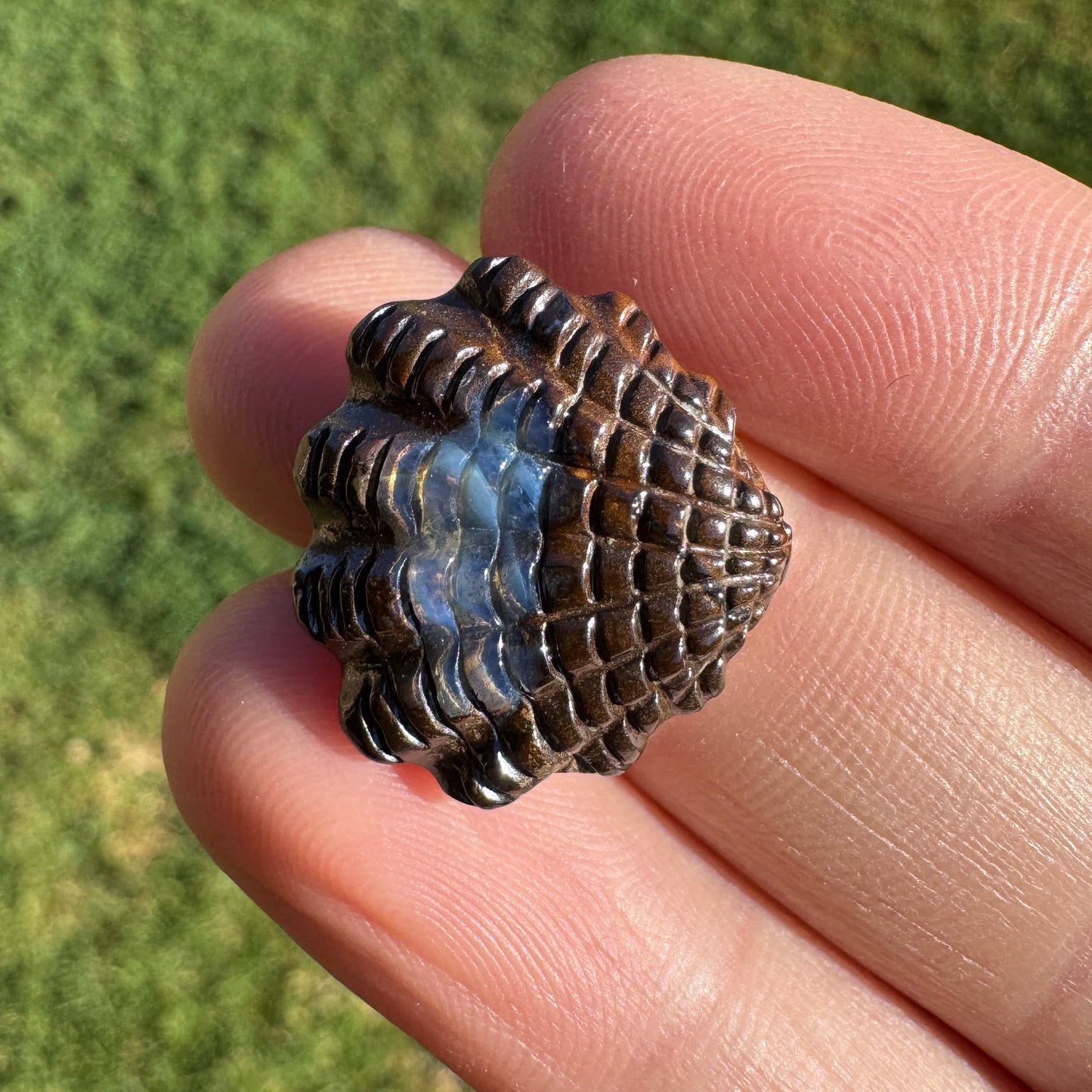 14.01 Ct fan shell boulder opal