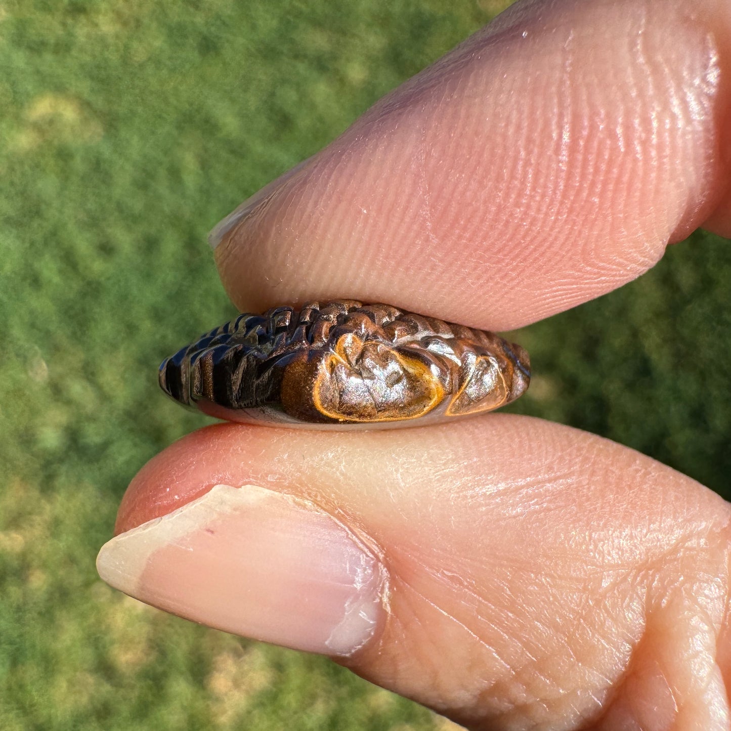 14.01 Ct fan shell boulder opal