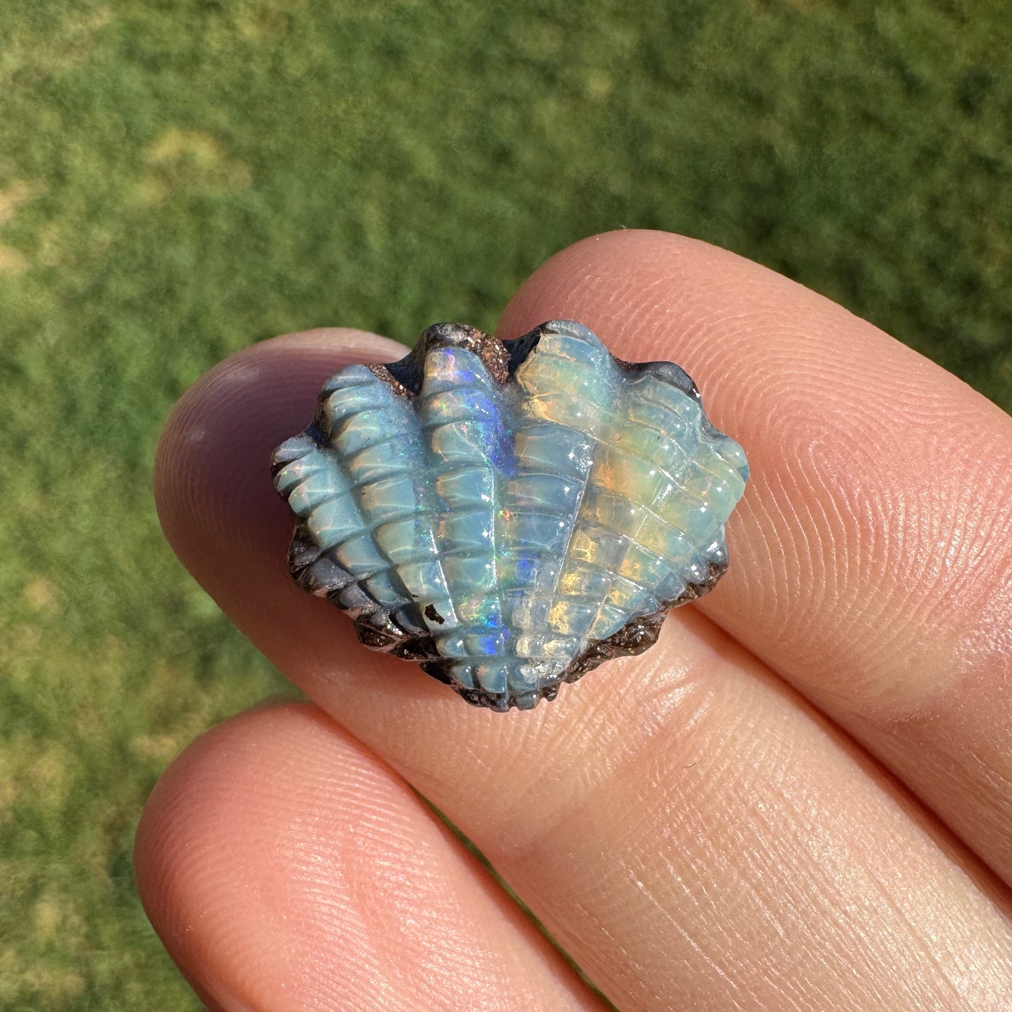 8.03 Ct fan shell boulder opal carving
