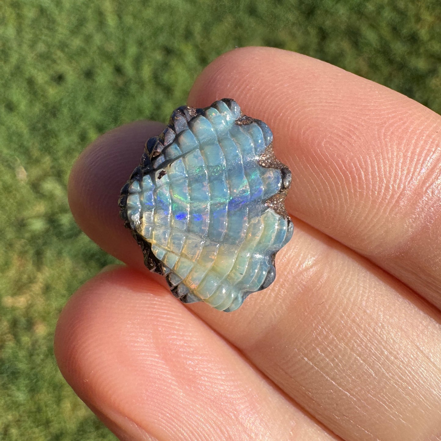 8.03 Ct fan shell boulder opal carving