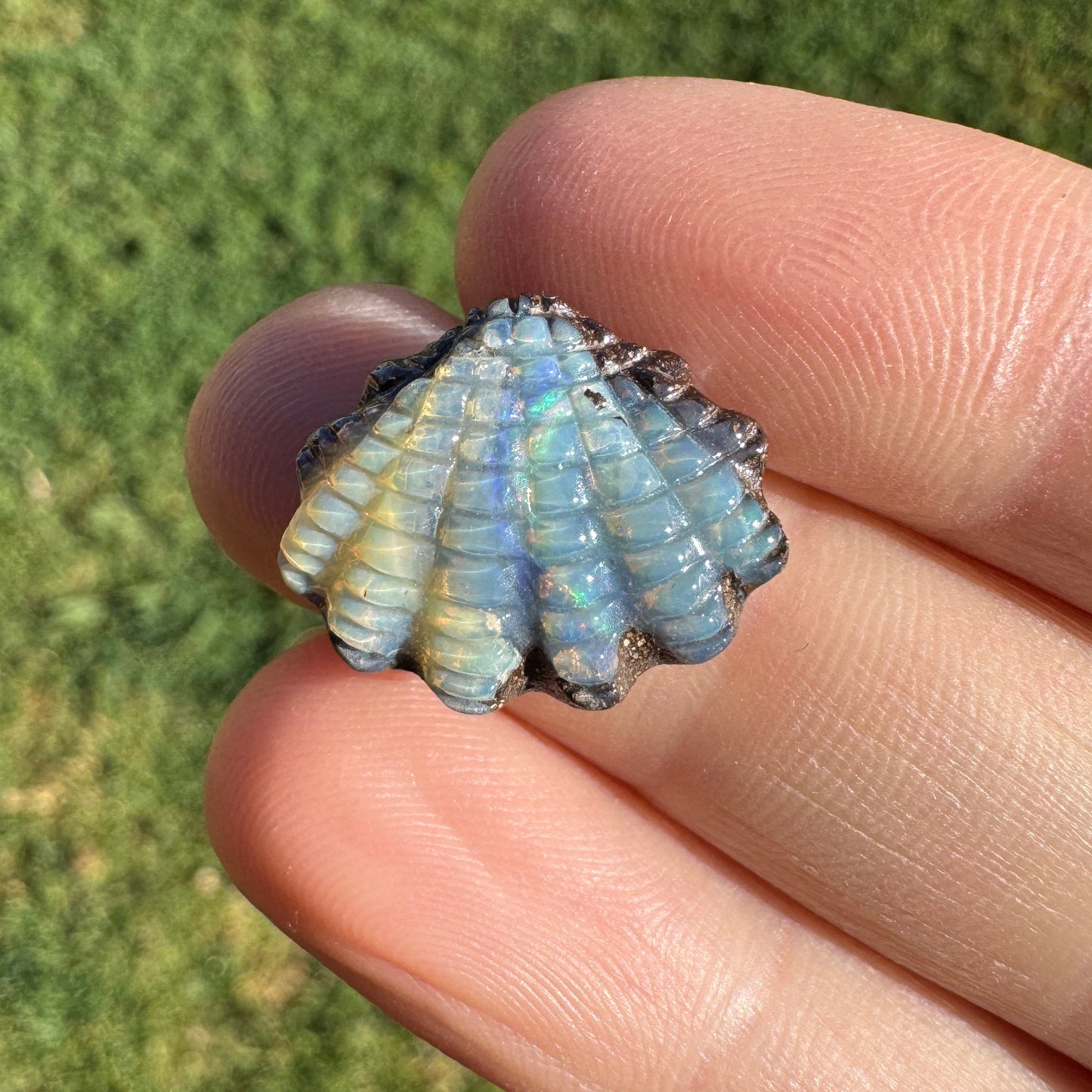 8.03 Ct fan shell boulder opal carving