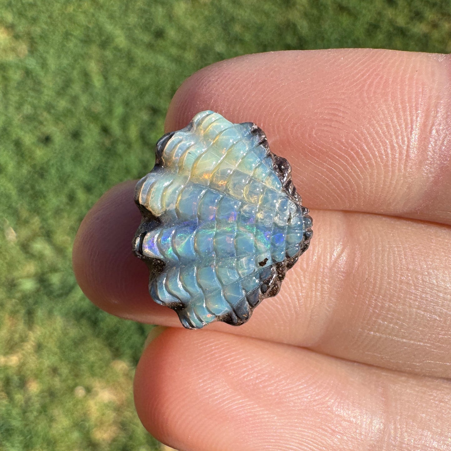 8.03 Ct fan shell boulder opal carving