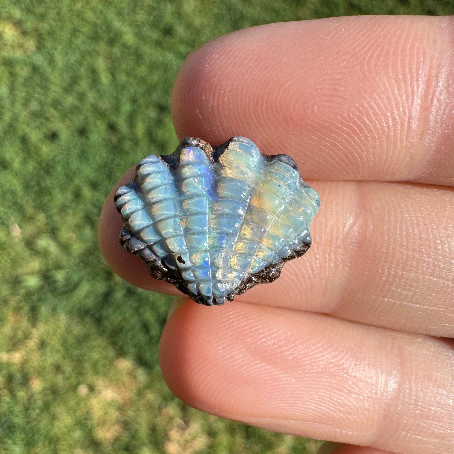 8.03 Ct fan shell boulder opal carving