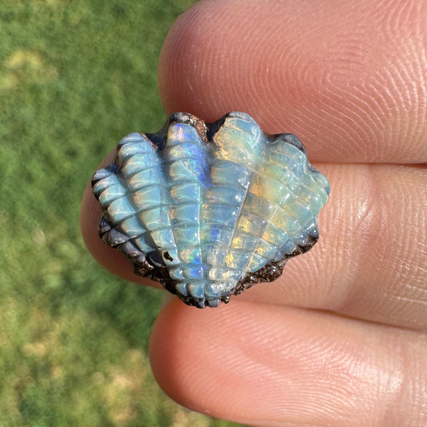 8.03 Ct fan shell boulder opal carving