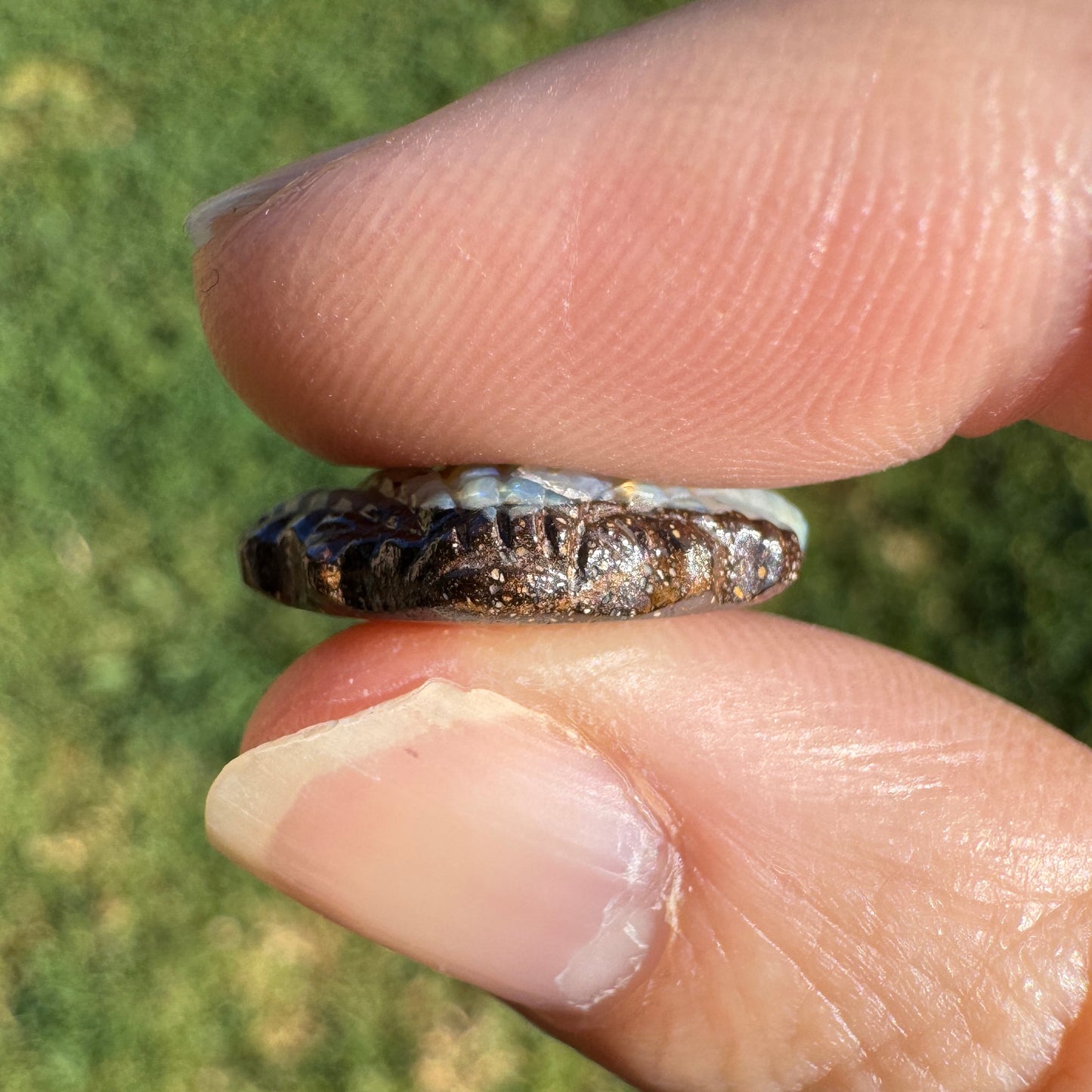8.03 Ct fan shell boulder opal carving