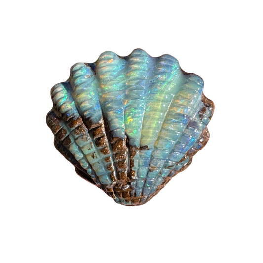16.82 Ct fan shell boulder opal carving