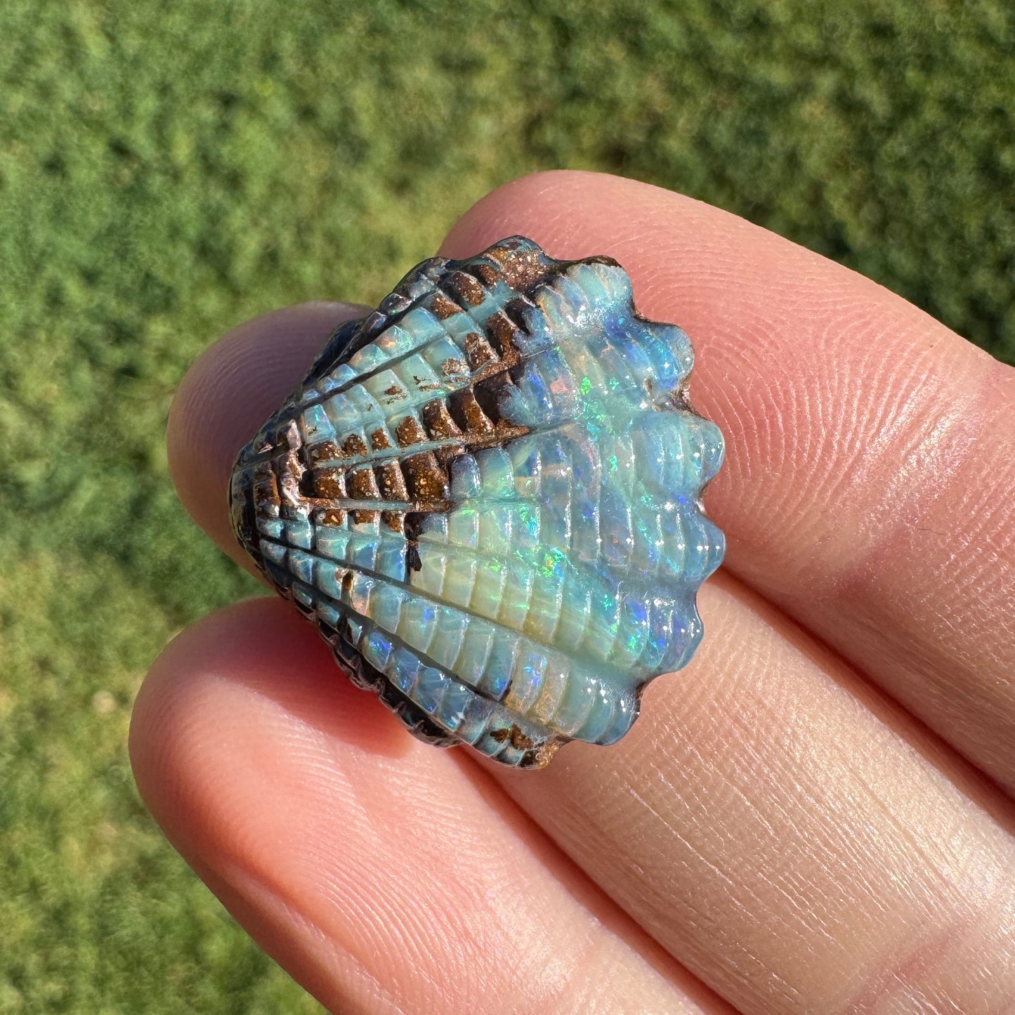 16.82 Ct fan shell boulder opal carving