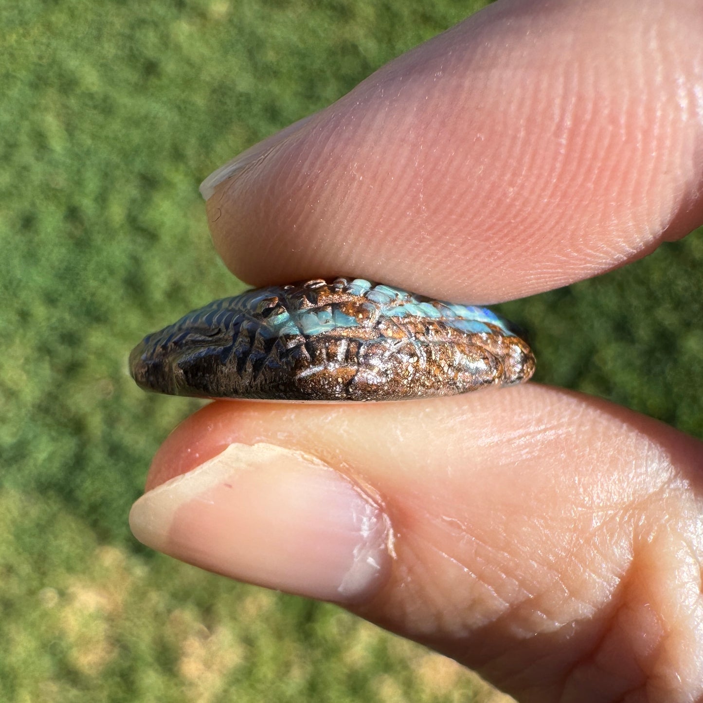 16.82 Ct fan shell boulder opal carving