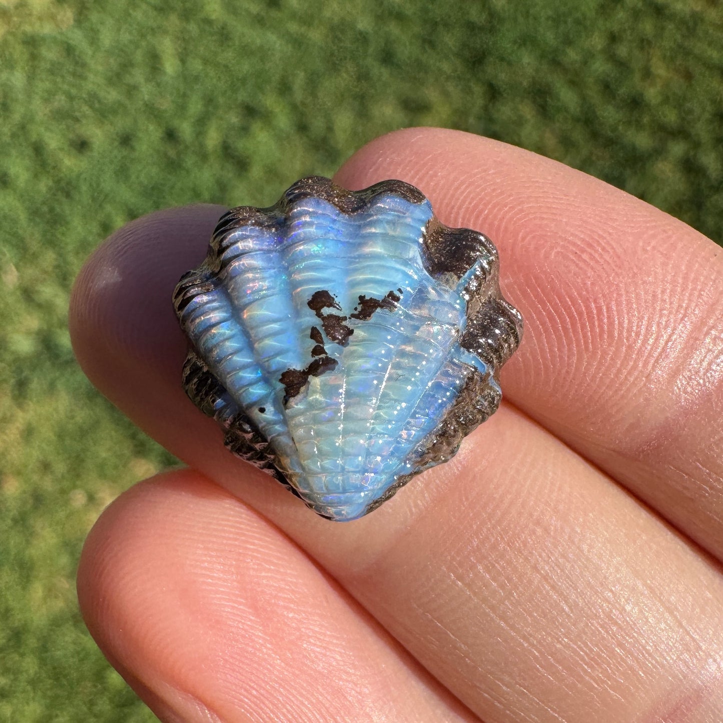 13.60 Ct fan shell boulder opal carving