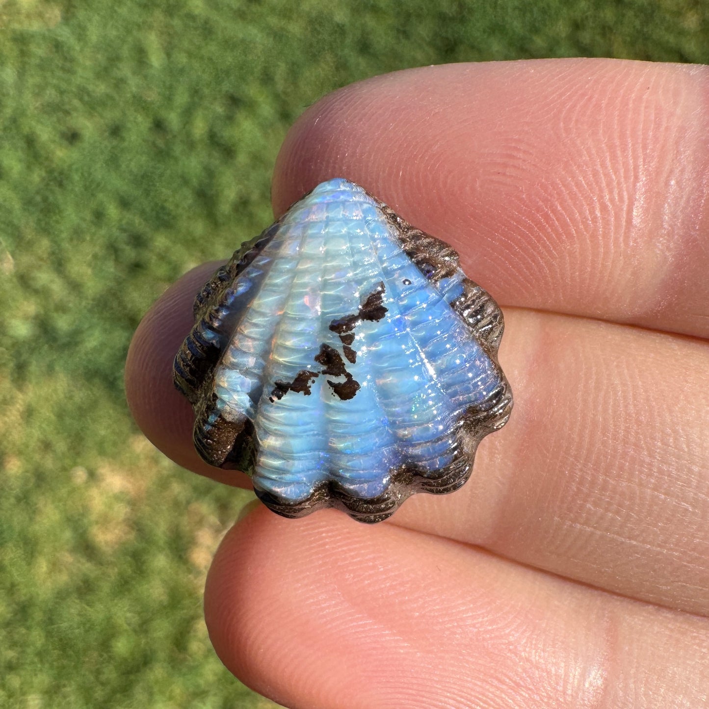 13.60 Ct fan shell boulder opal carving