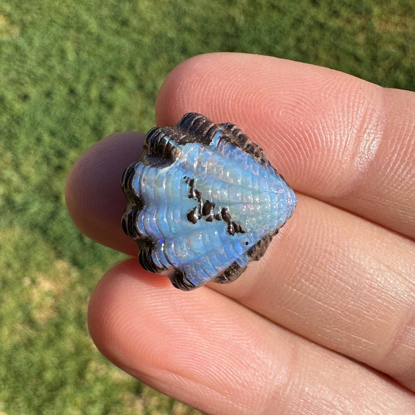 13.60 Ct fan shell boulder opal carving