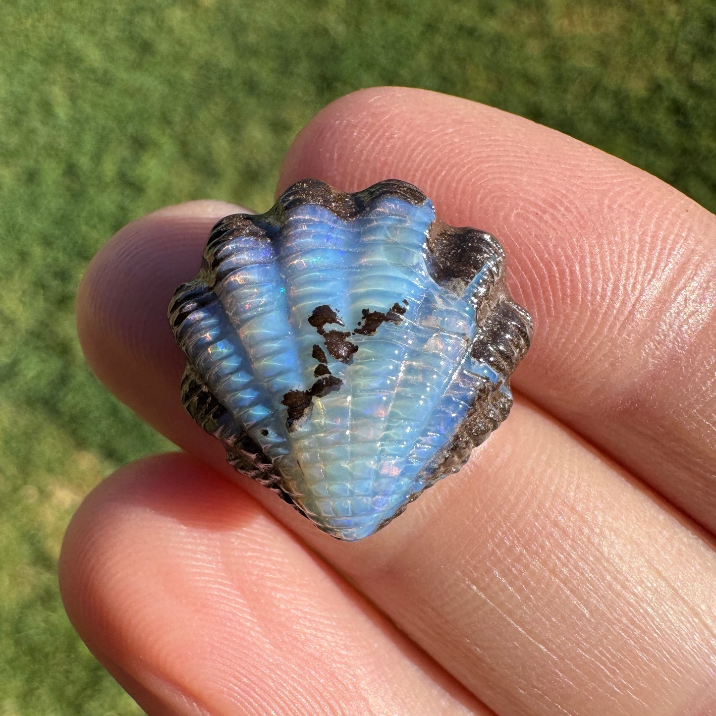 13.60 Ct fan shell boulder opal carving