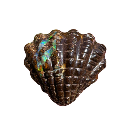 16.92 Ct fan shell boulder opal carving