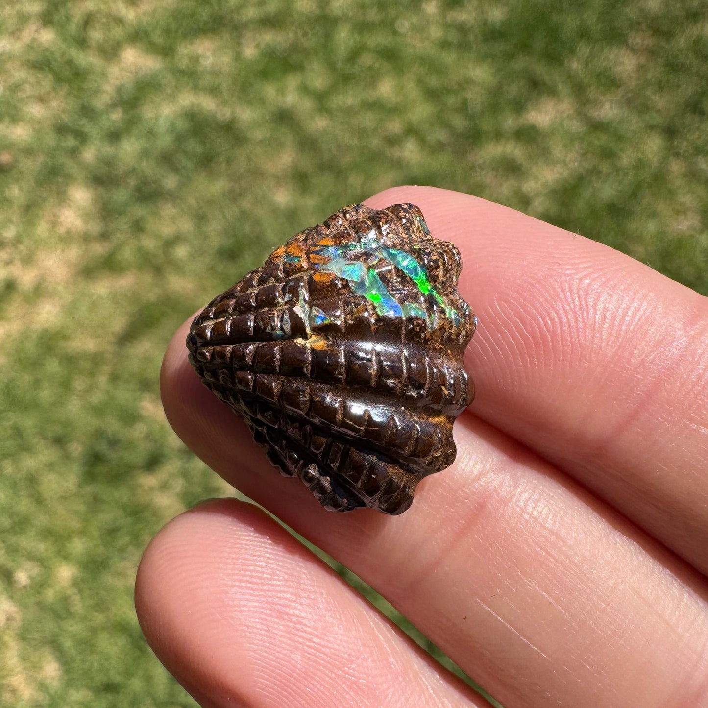 16.92 Ct fan shell boulder opal carving