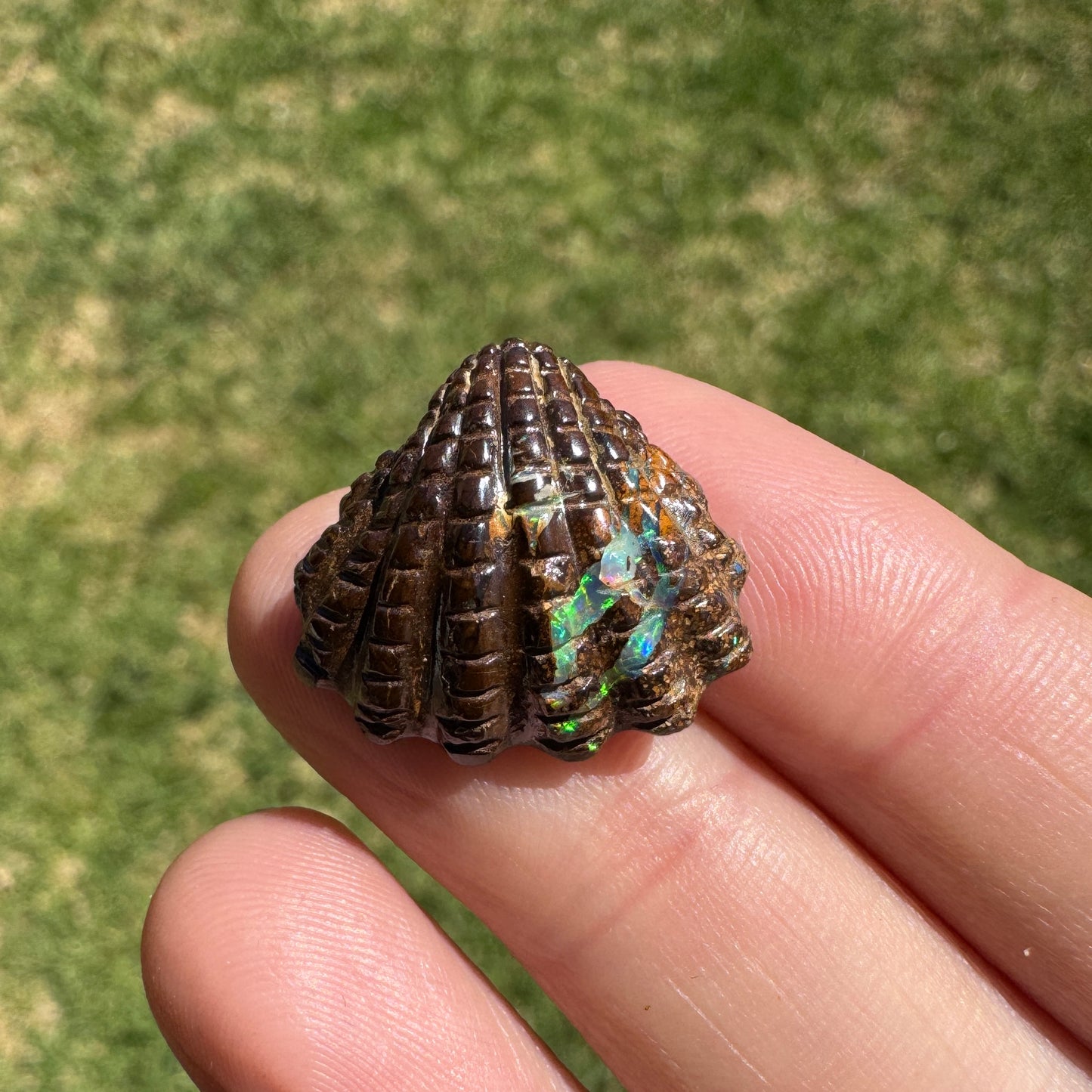 16.92 Ct fan shell boulder opal carving