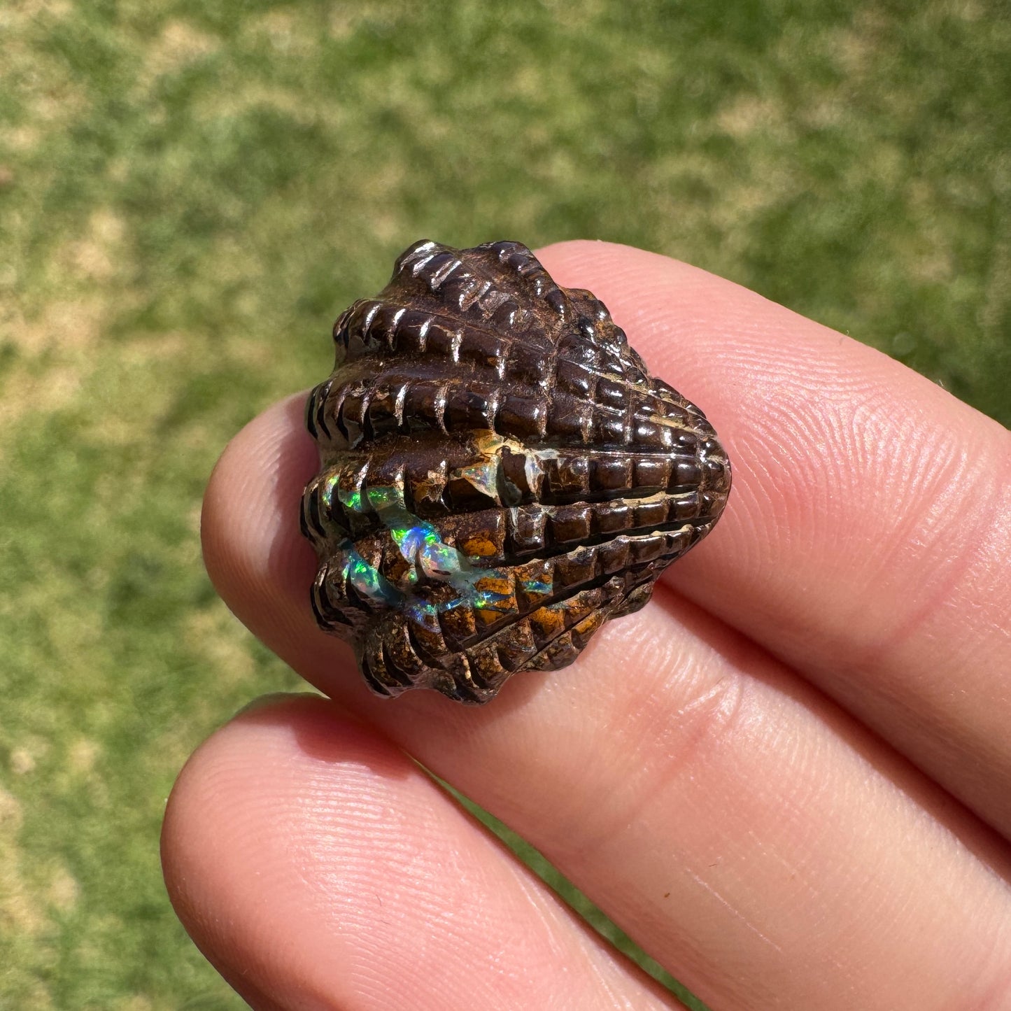 16.92 Ct fan shell boulder opal carving