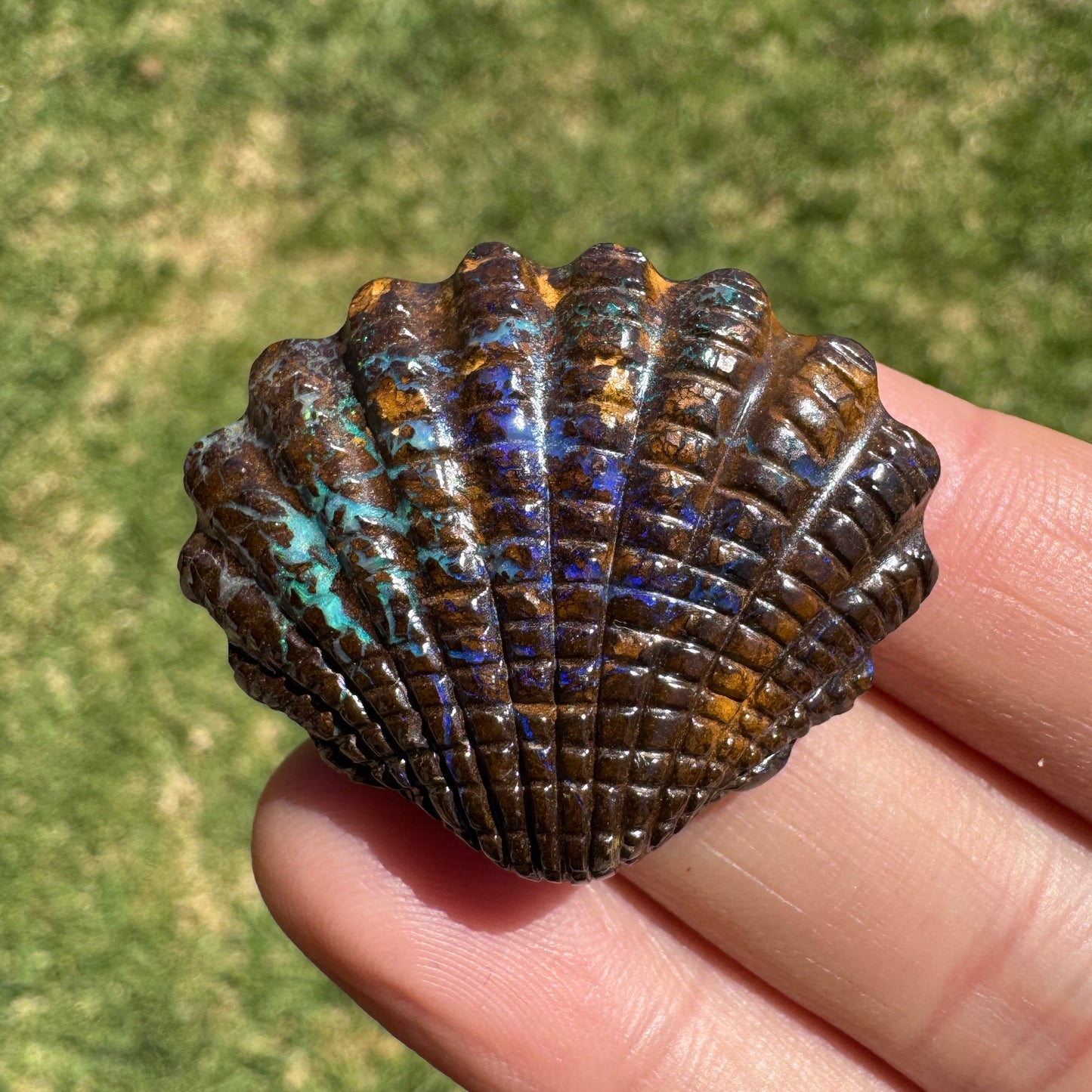 53.52 Ct fan shell boulder opal carving