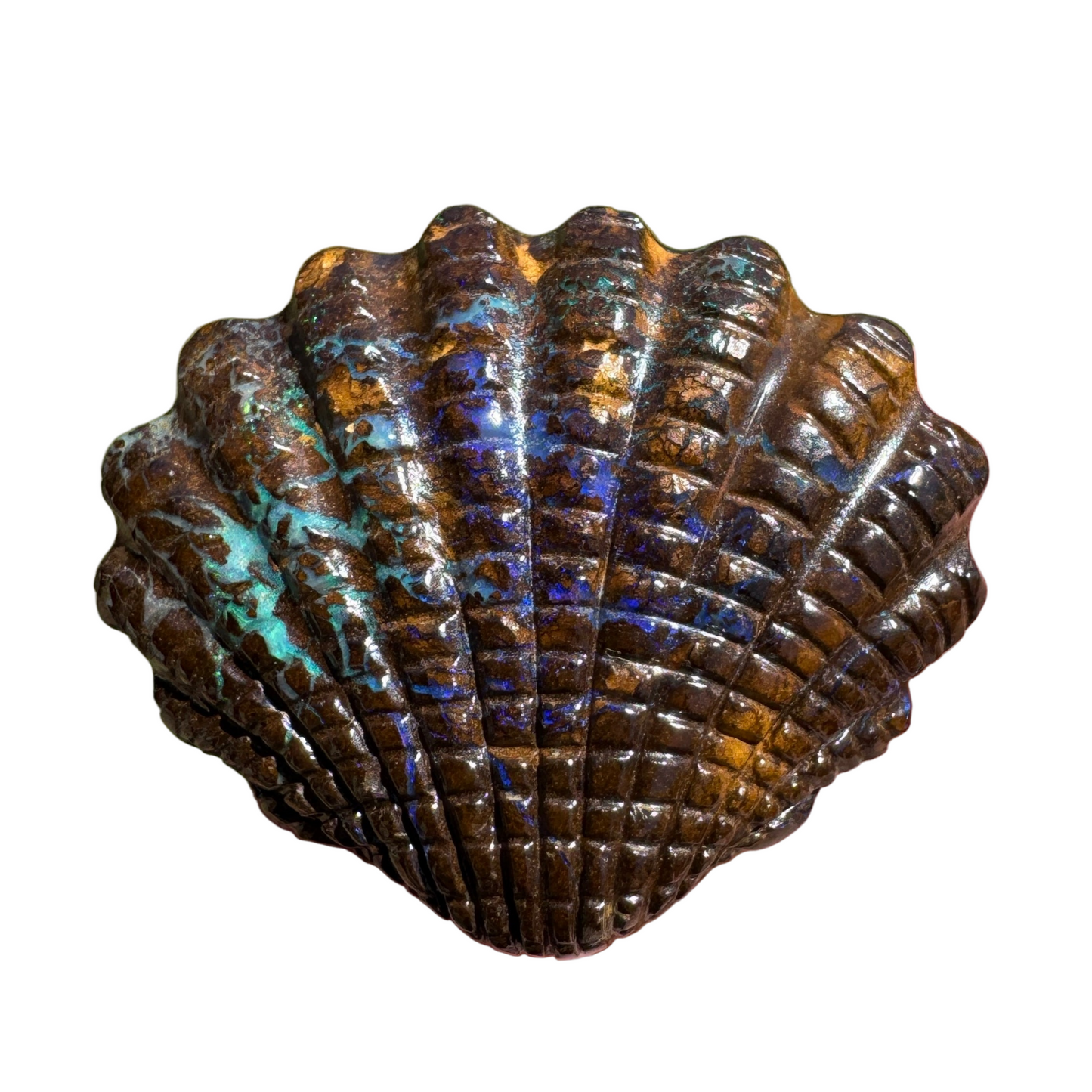 53.52 Ct fan shell boulder opal carving