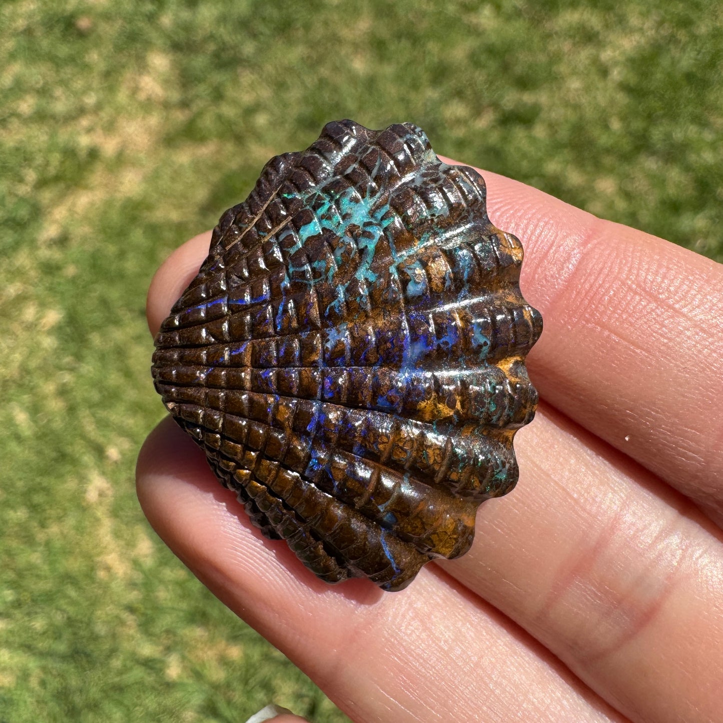 53.52 Ct fan shell boulder opal carving