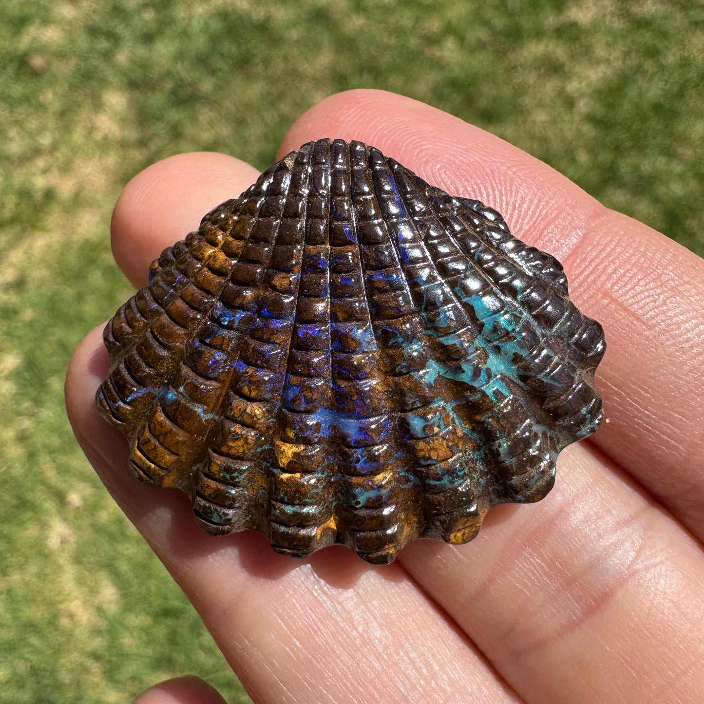 53.52 Ct fan shell boulder opal carving