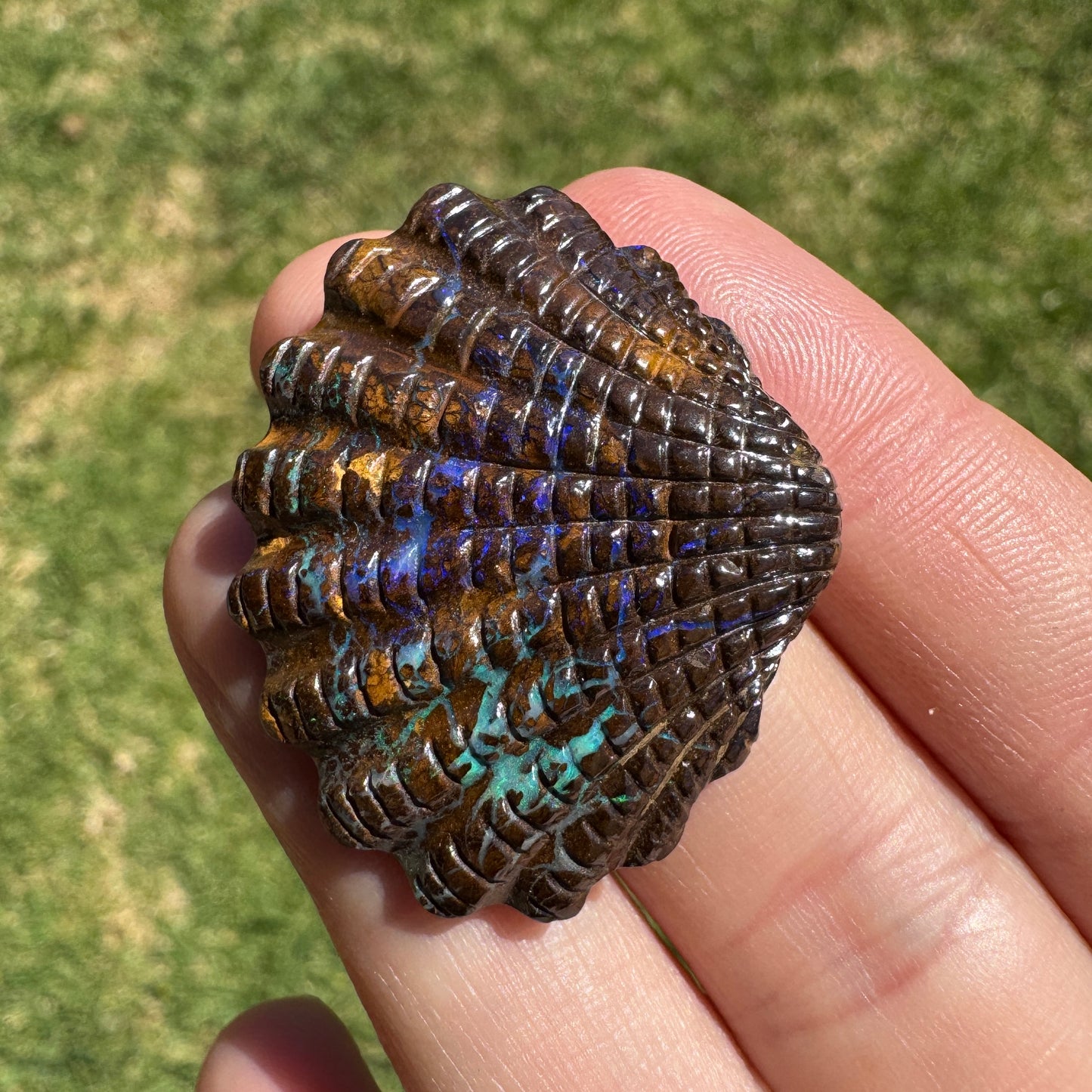 53.52 Ct fan shell boulder opal carving
