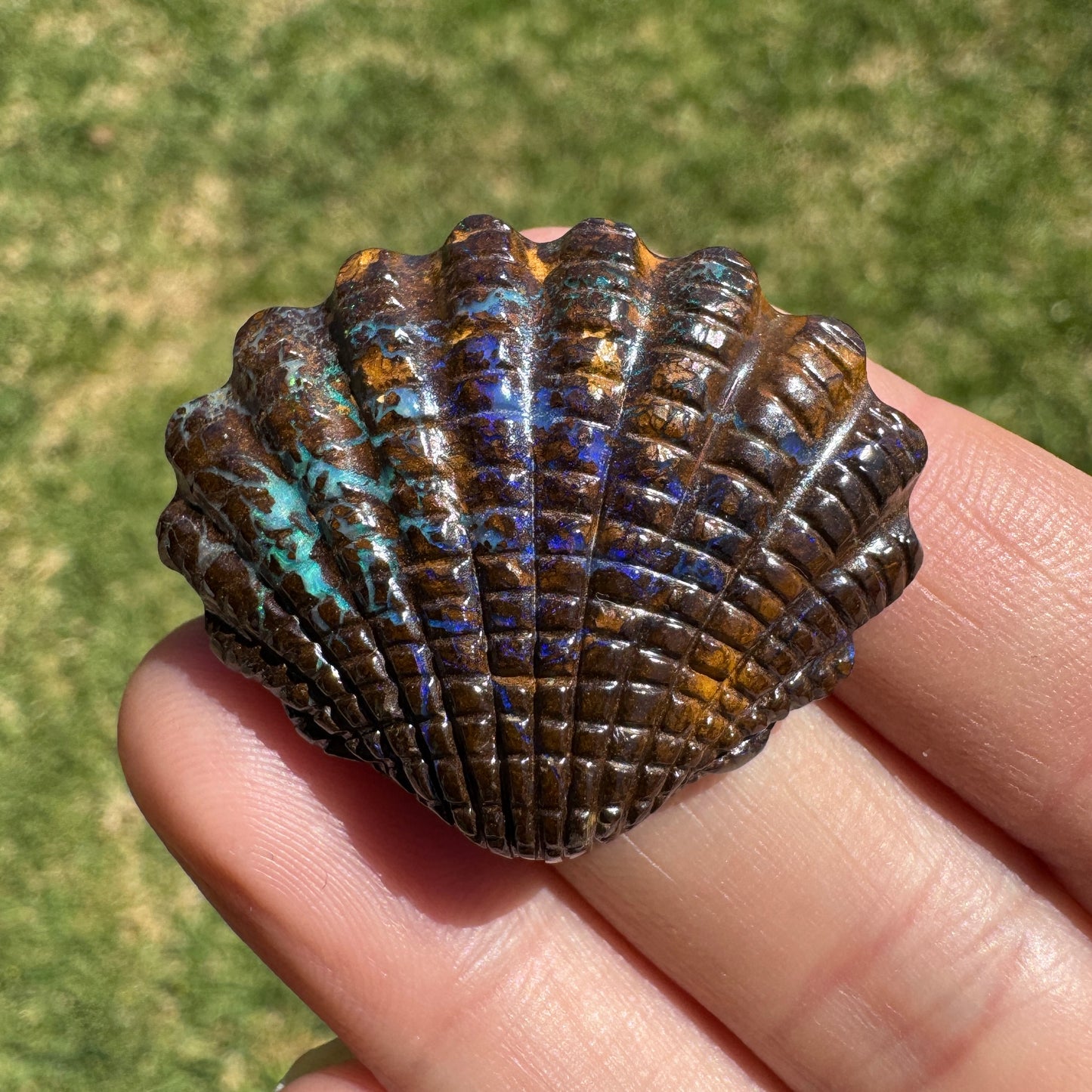 53.52 Ct fan shell boulder opal carving