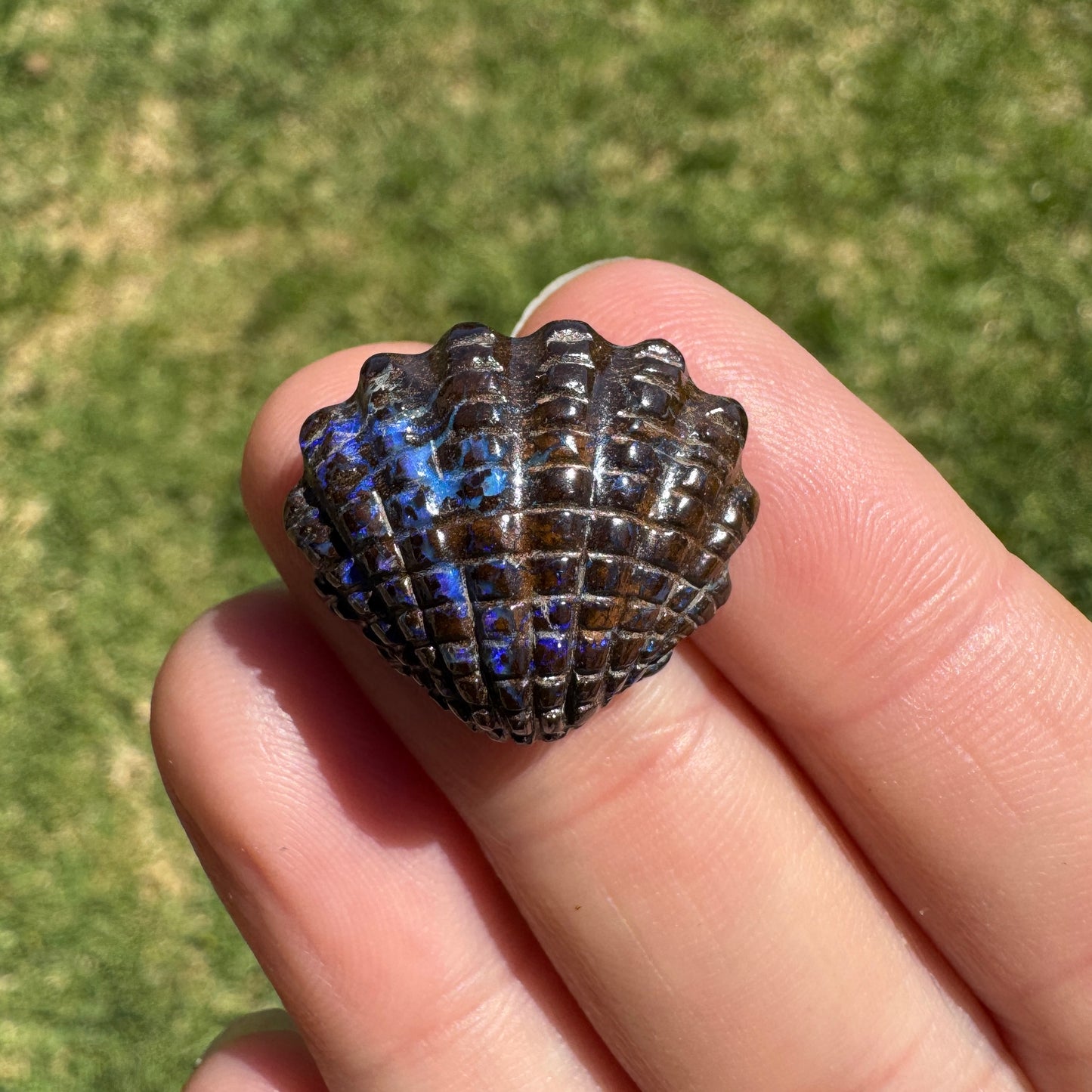 16.75 Ct fan shell boulder opal carving