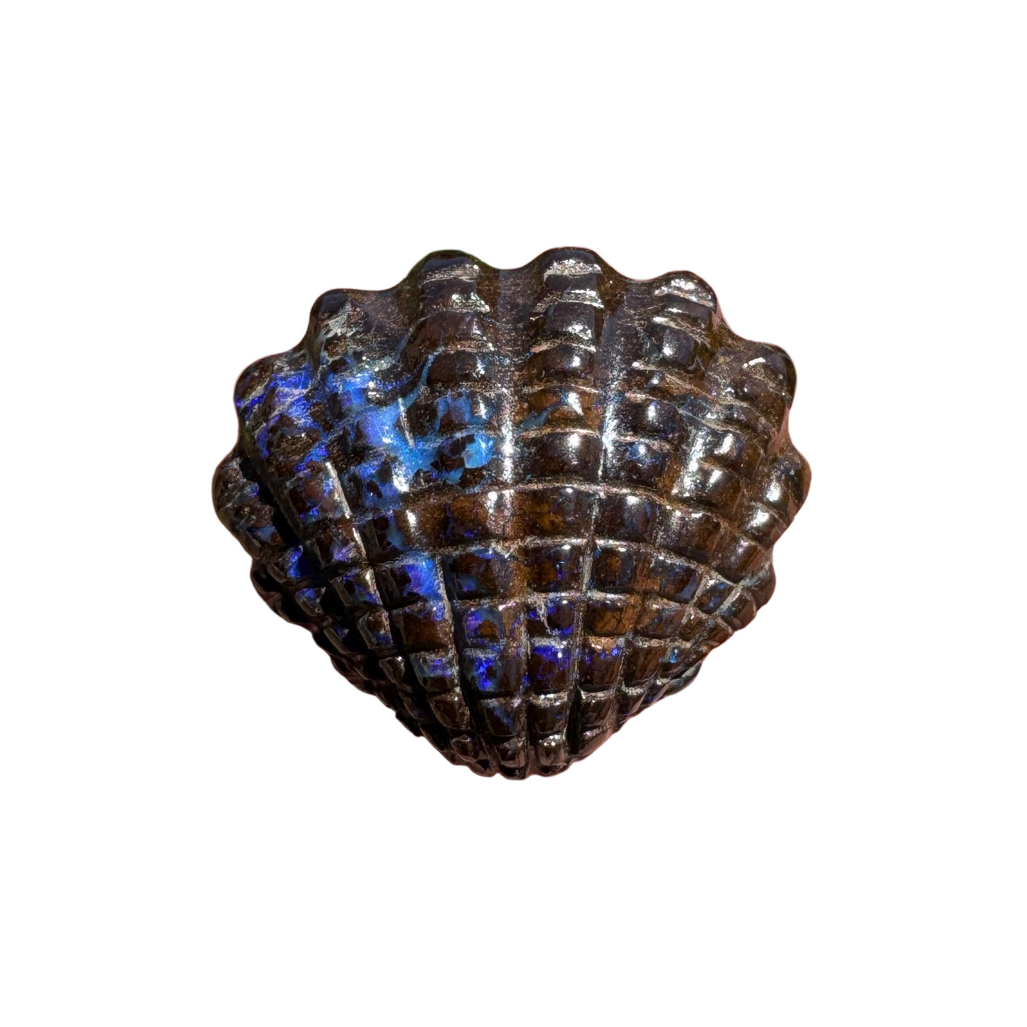 16.75 Ct fan shell boulder opal carving