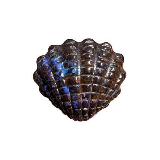 16.75 Ct fan shell boulder opal carving