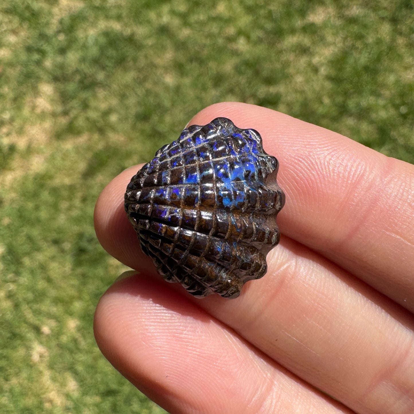 16.75 Ct fan shell boulder opal carving