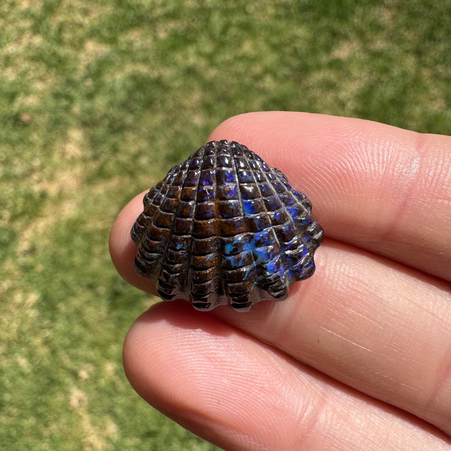 16.75 Ct fan shell boulder opal carving