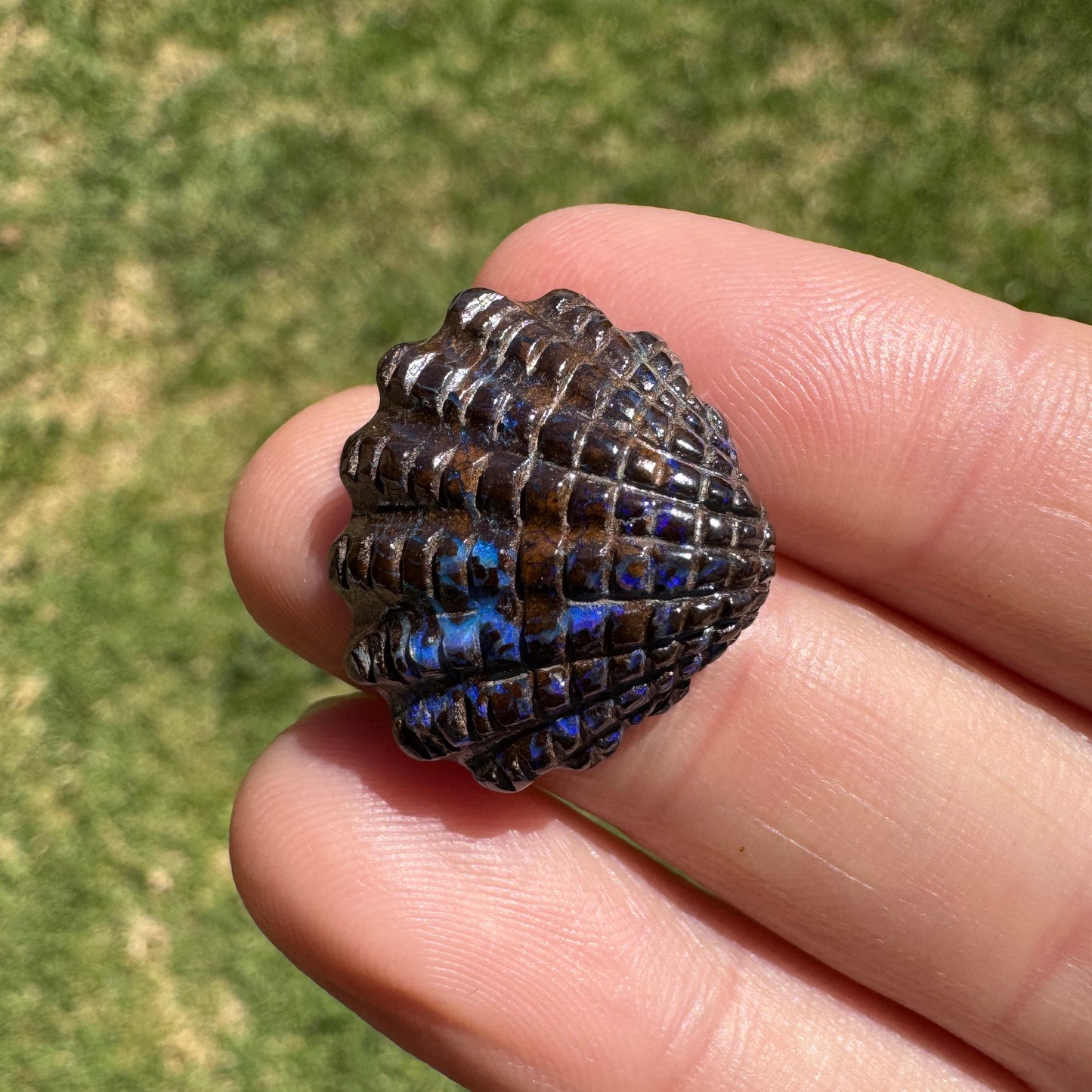 16.75 Ct fan shell boulder opal carving