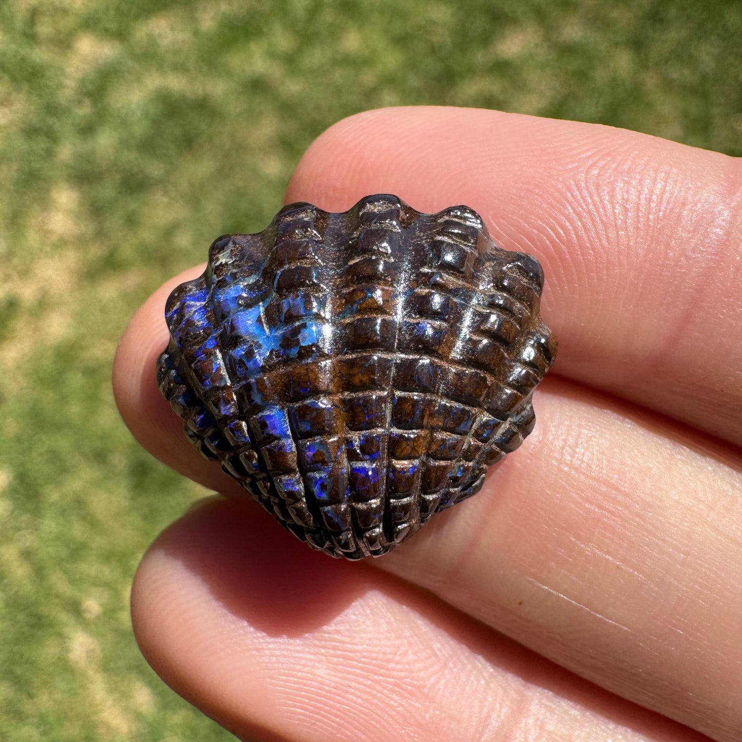 16.75 Ct fan shell boulder opal carving