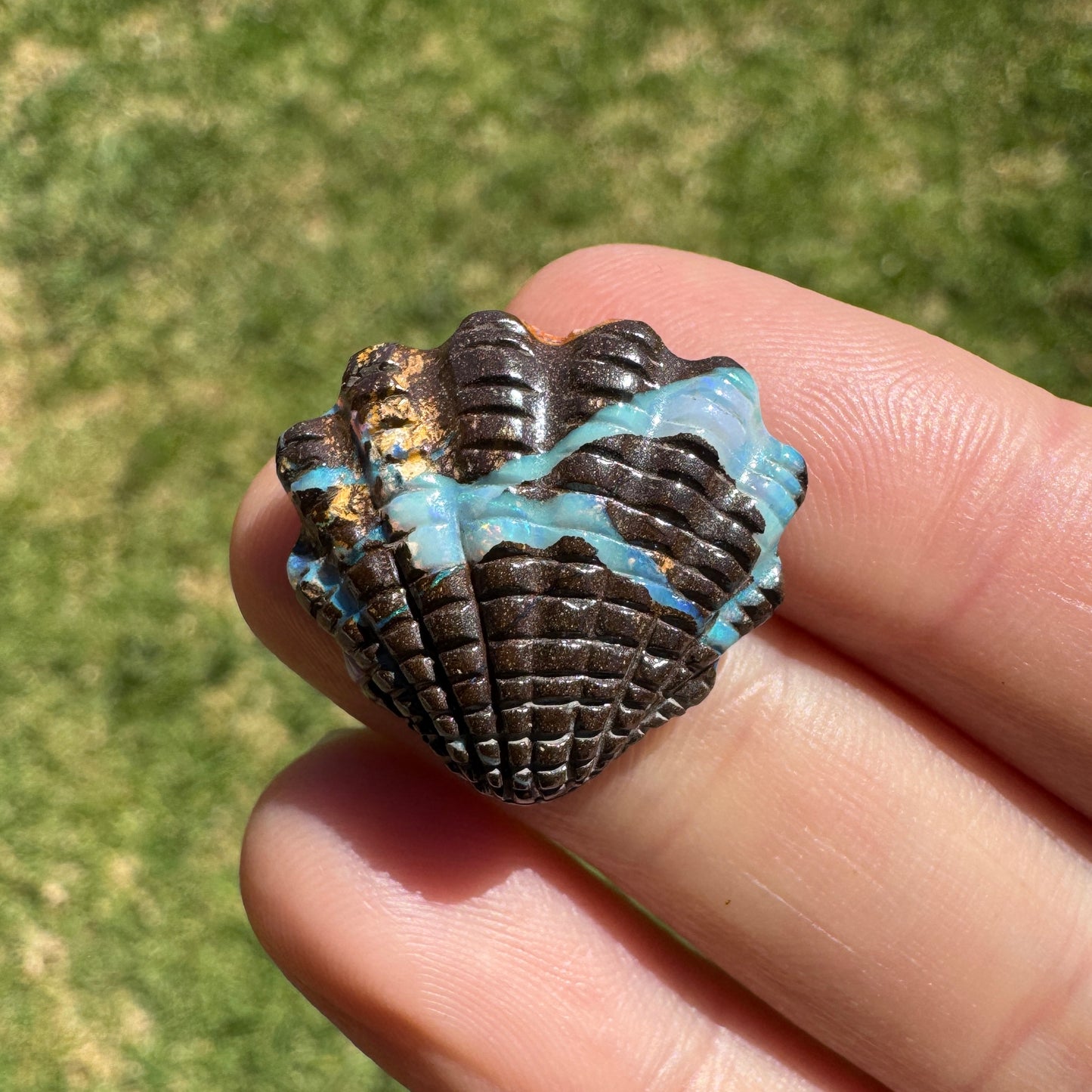 13.26 Ct fan shell boulder opal carving