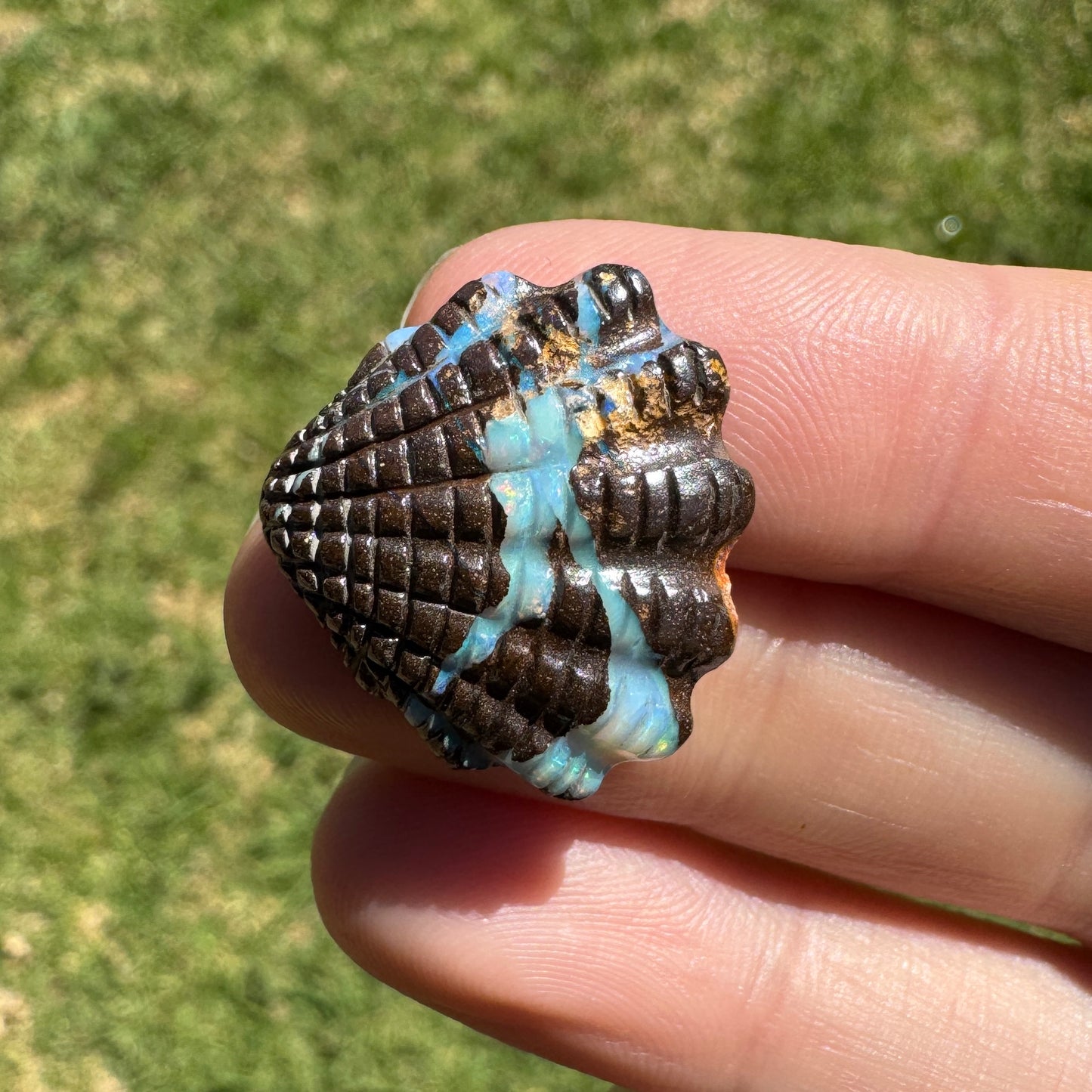 13.26 Ct fan shell boulder opal carving