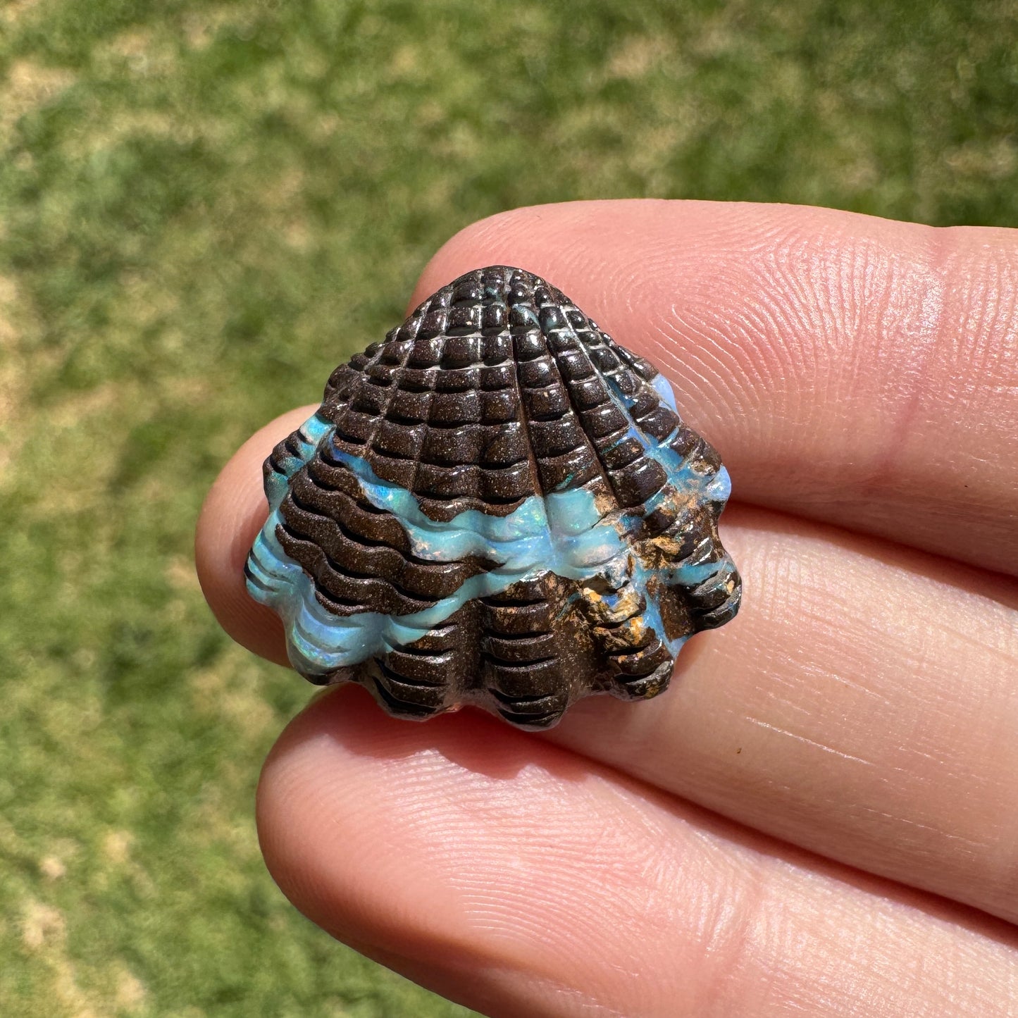 13.26 Ct fan shell boulder opal carving