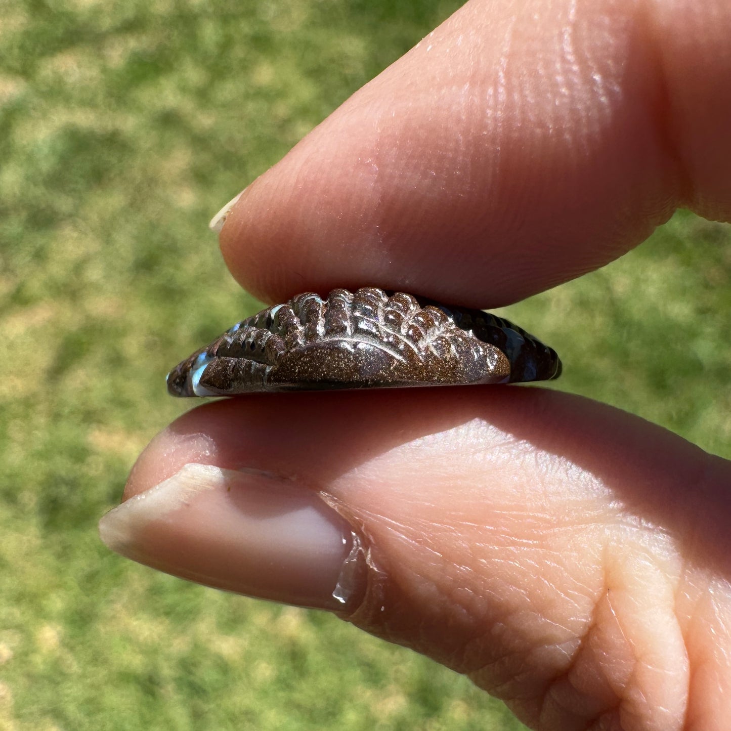 13.26 Ct fan shell boulder opal carving