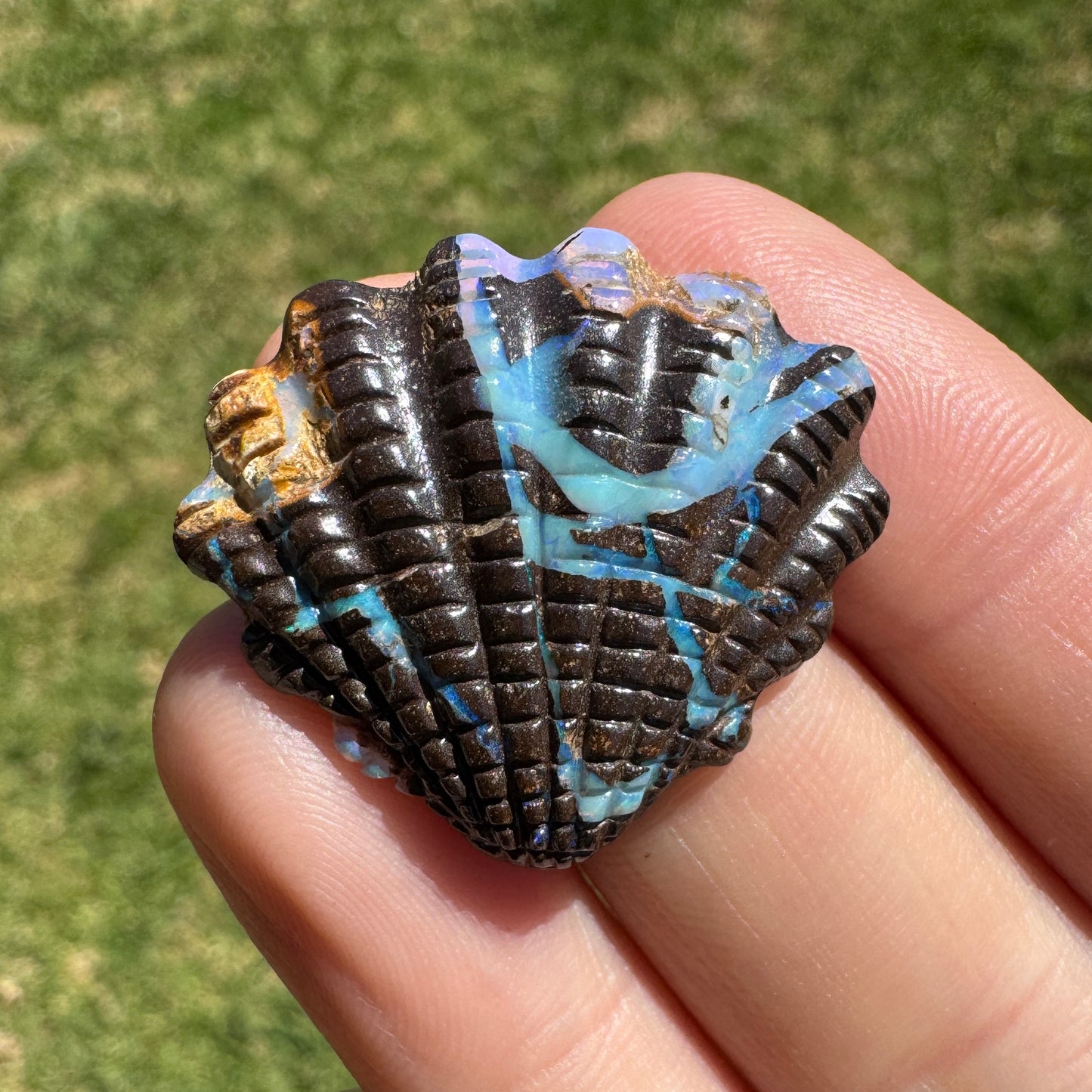 22.45 Ct fan shell boulder opal carving