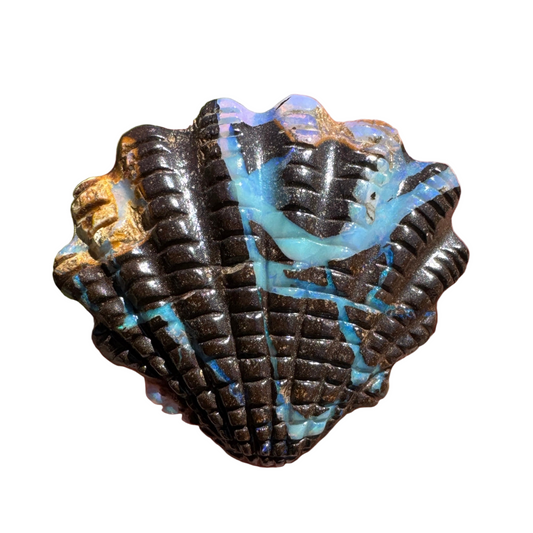 22.45 Ct fan shell boulder opal carving