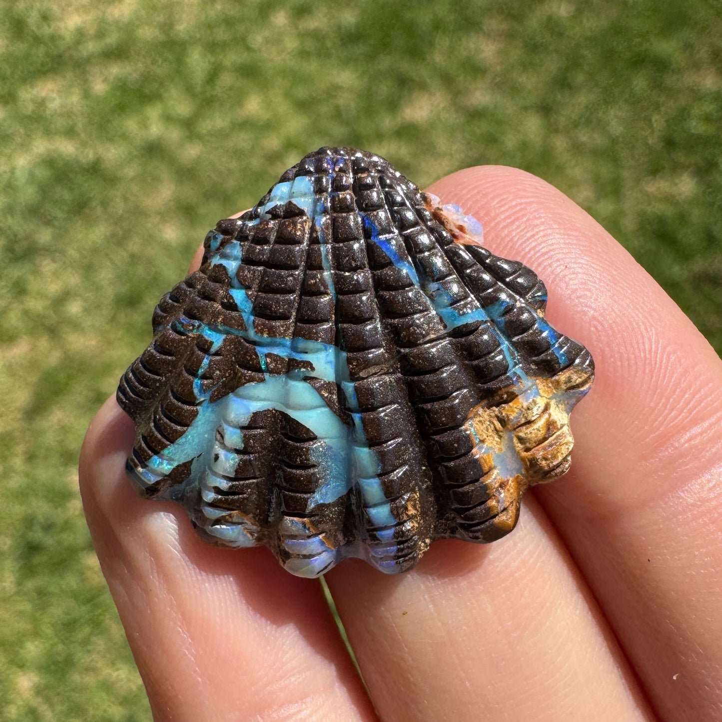 22.45 Ct fan shell boulder opal carving