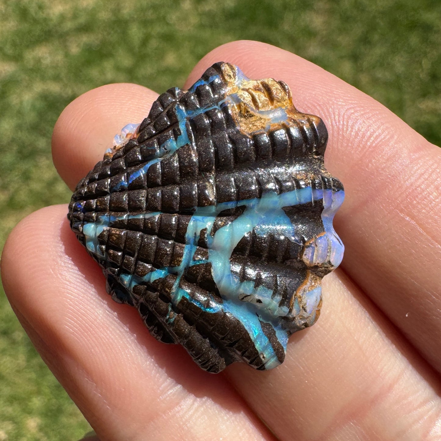 22.45 Ct fan shell boulder opal carving