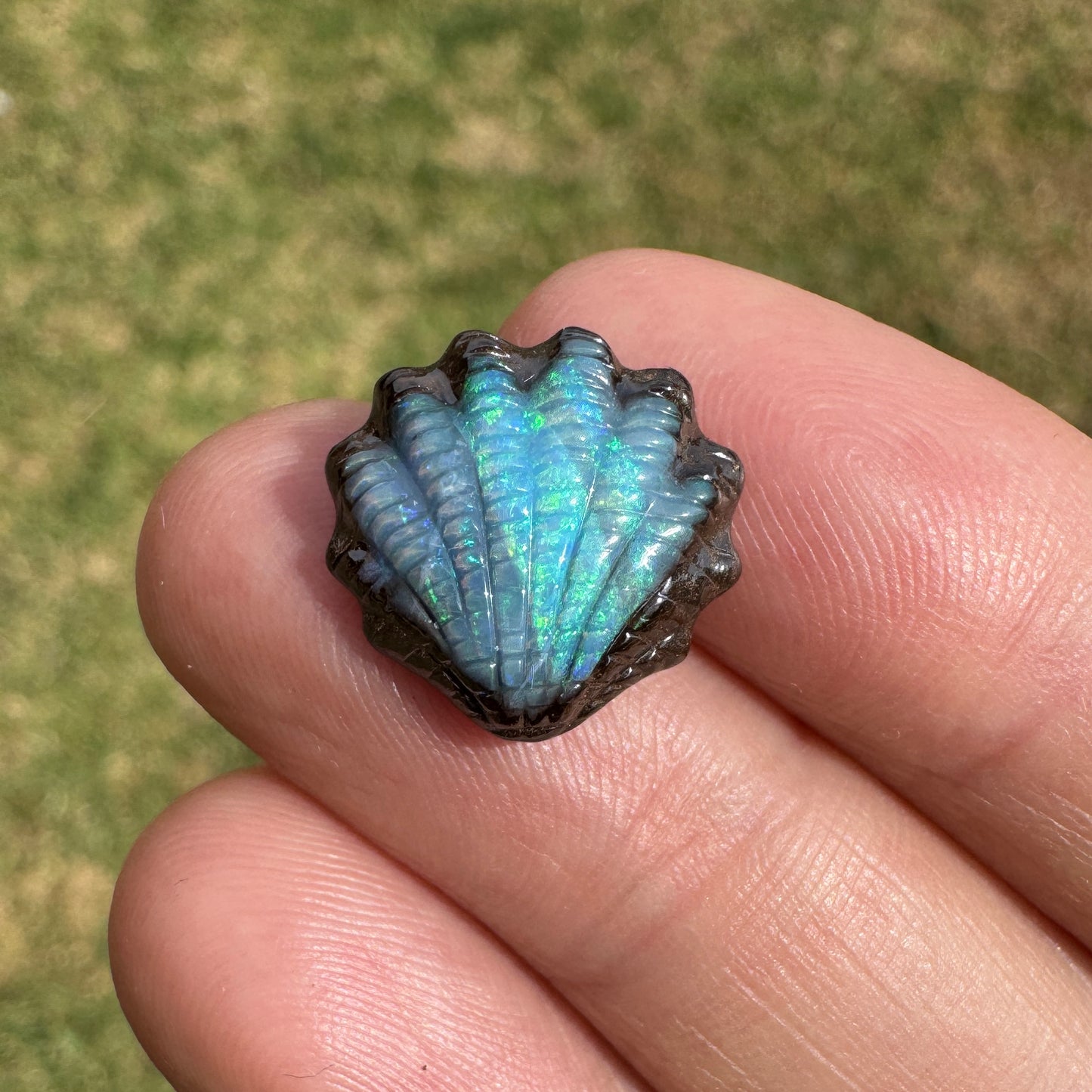 6.04 Ct fan shell boulder opal carving