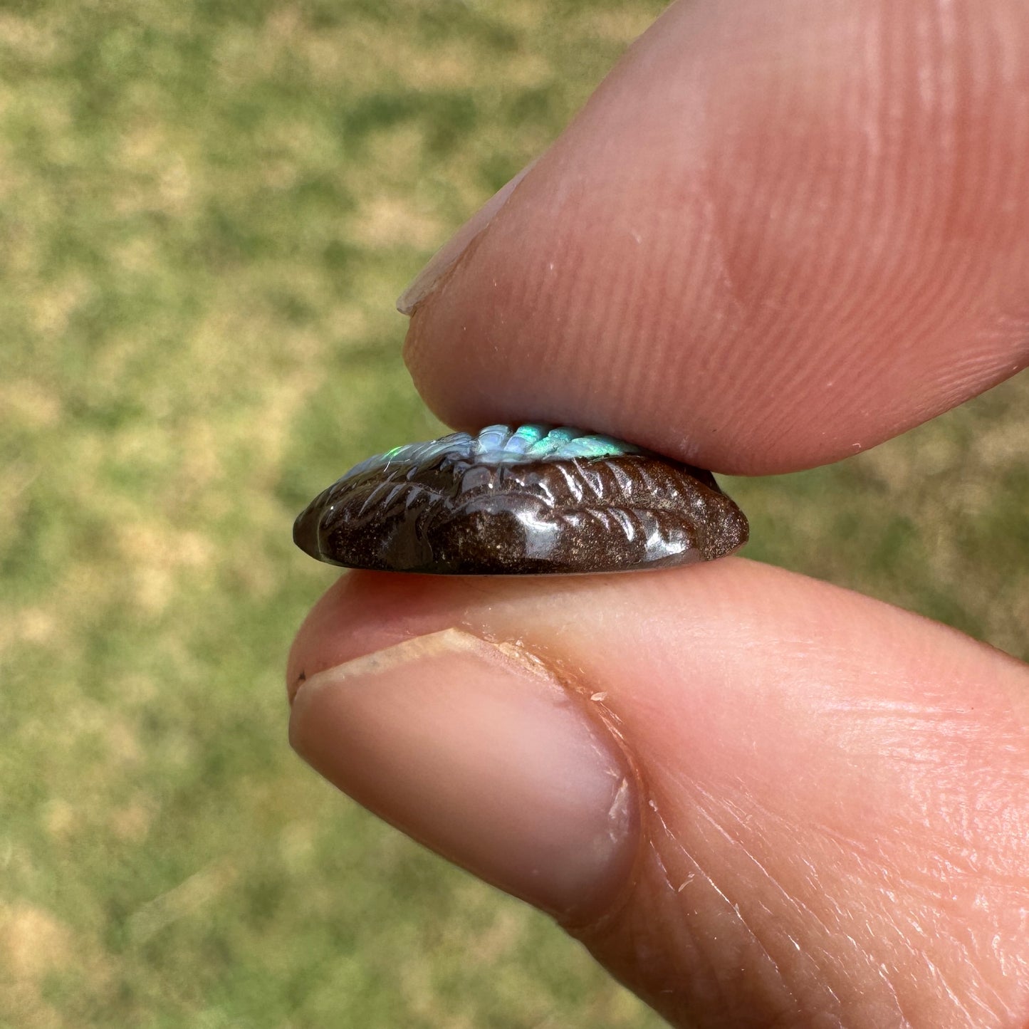 6.04 Ct fan shell boulder opal carving
